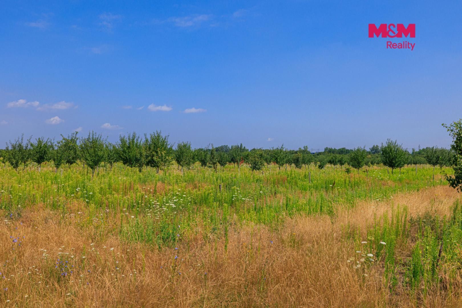 Prodej pozemku 123477 m² - foto 4