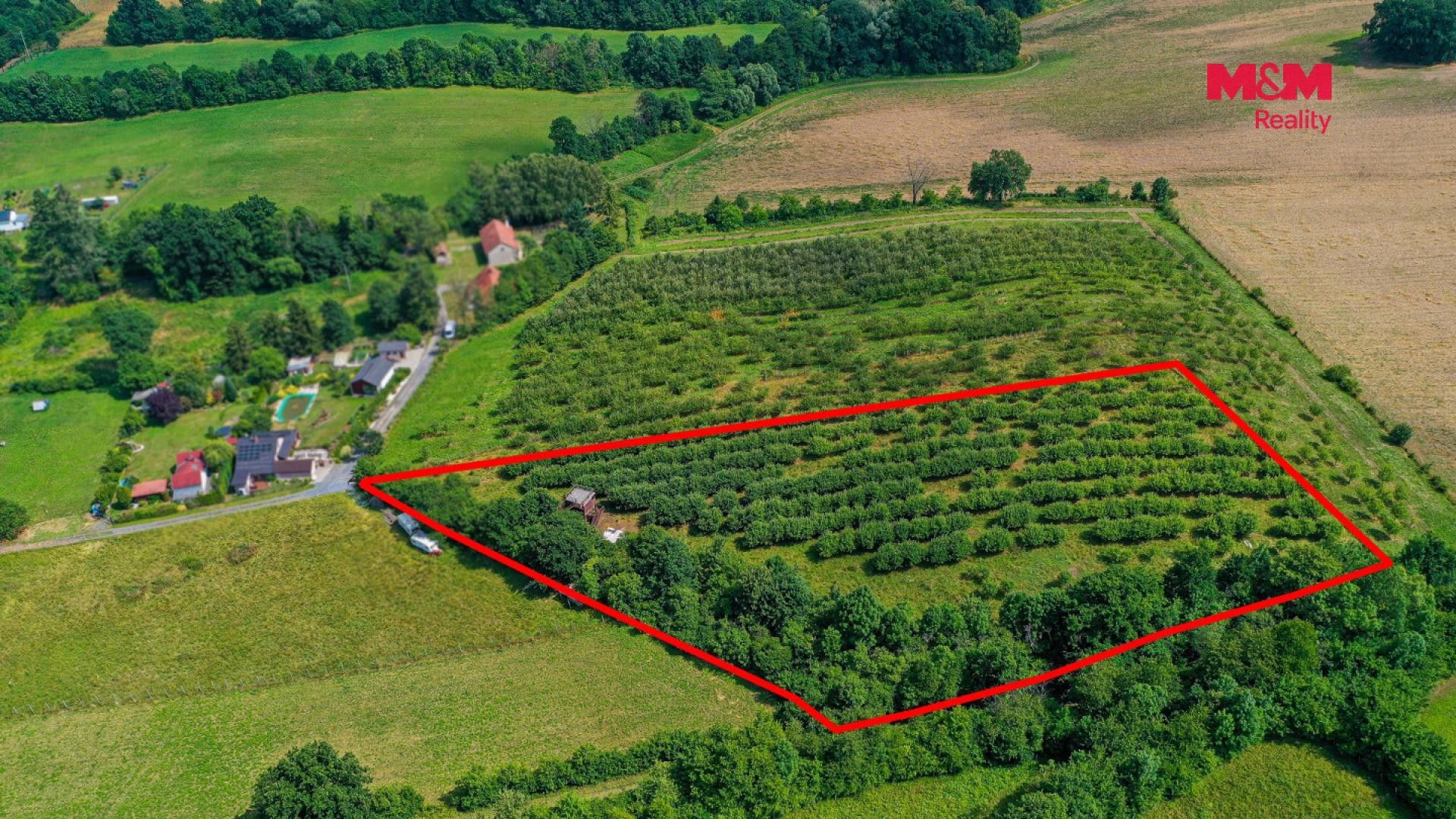 Prodej pozemku 9766 m² - foto 11