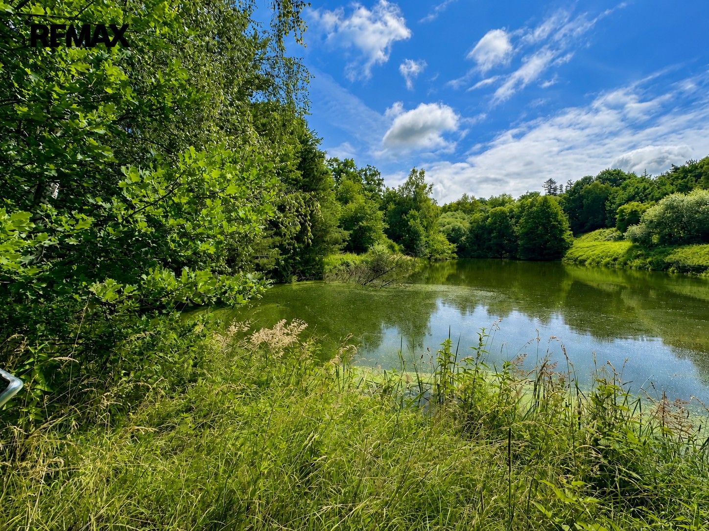 Prodej nemovitosti 25771 m² - foto 13