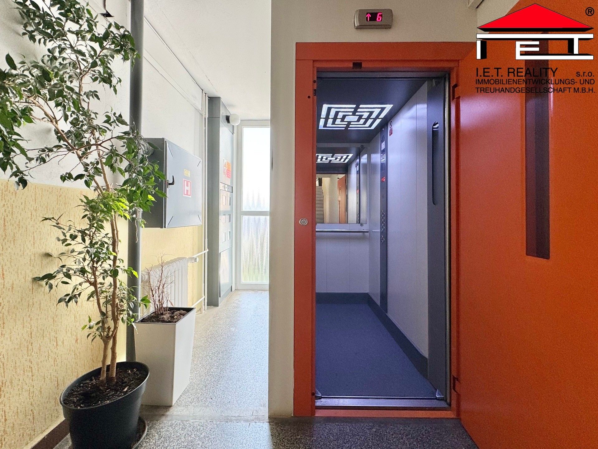 Prodej bytu 3+1 71 m² - foto 29