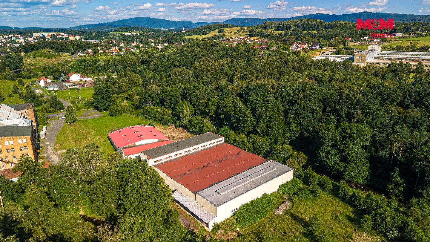 Pronájem komerčního prostoru 4500 m² - foto 3