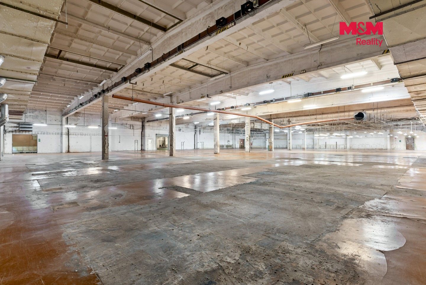 Pronájem komerčního prostoru 4500 m² - foto 6