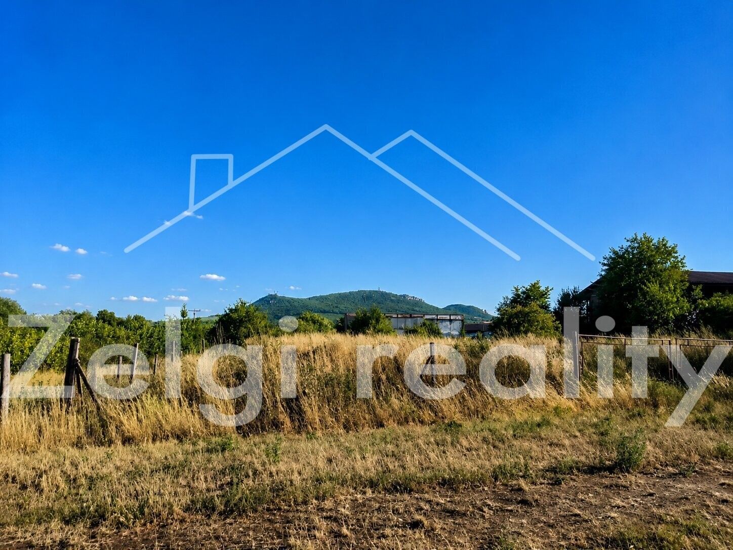Prodej pozemku 2465 m² - foto 4