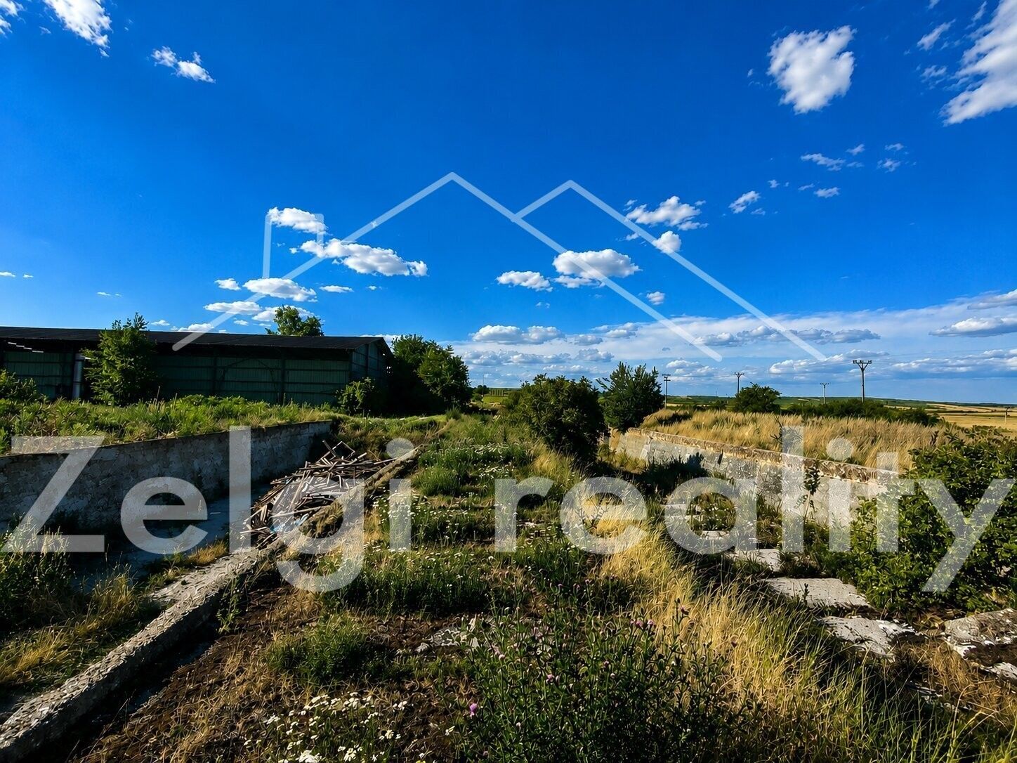 Prodej pozemku 2465 m² - foto 5