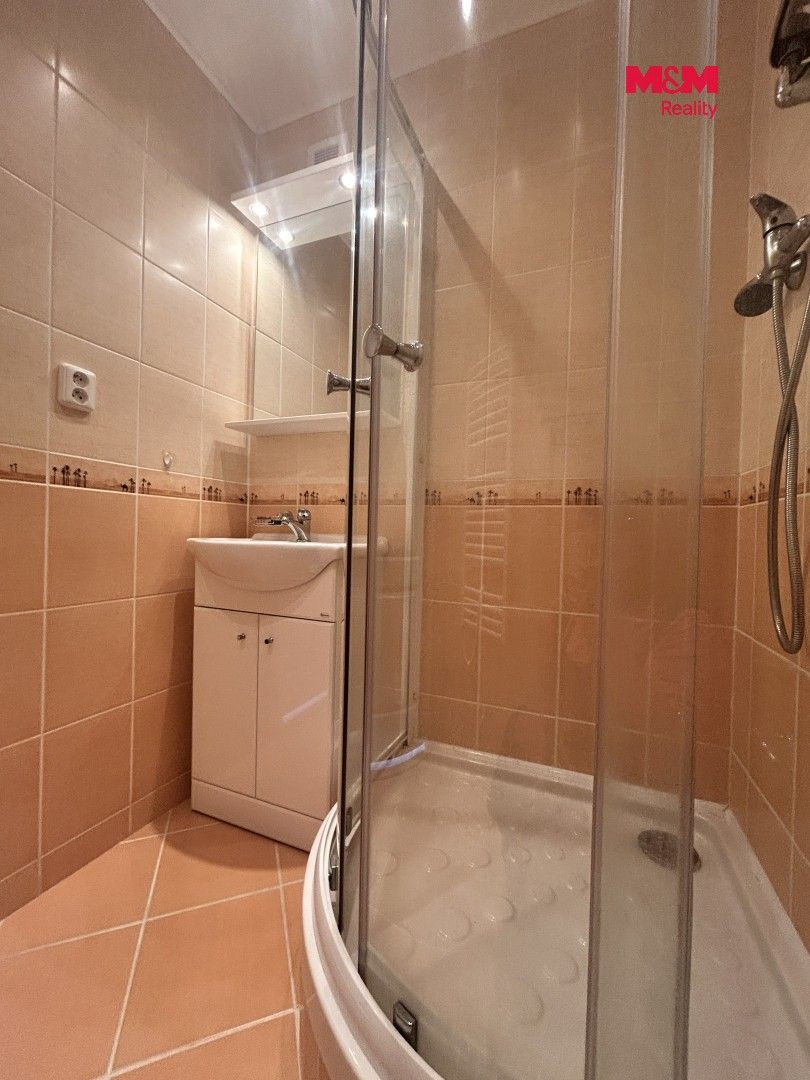 Pronájem bytu 1+1 46 m² - foto 15