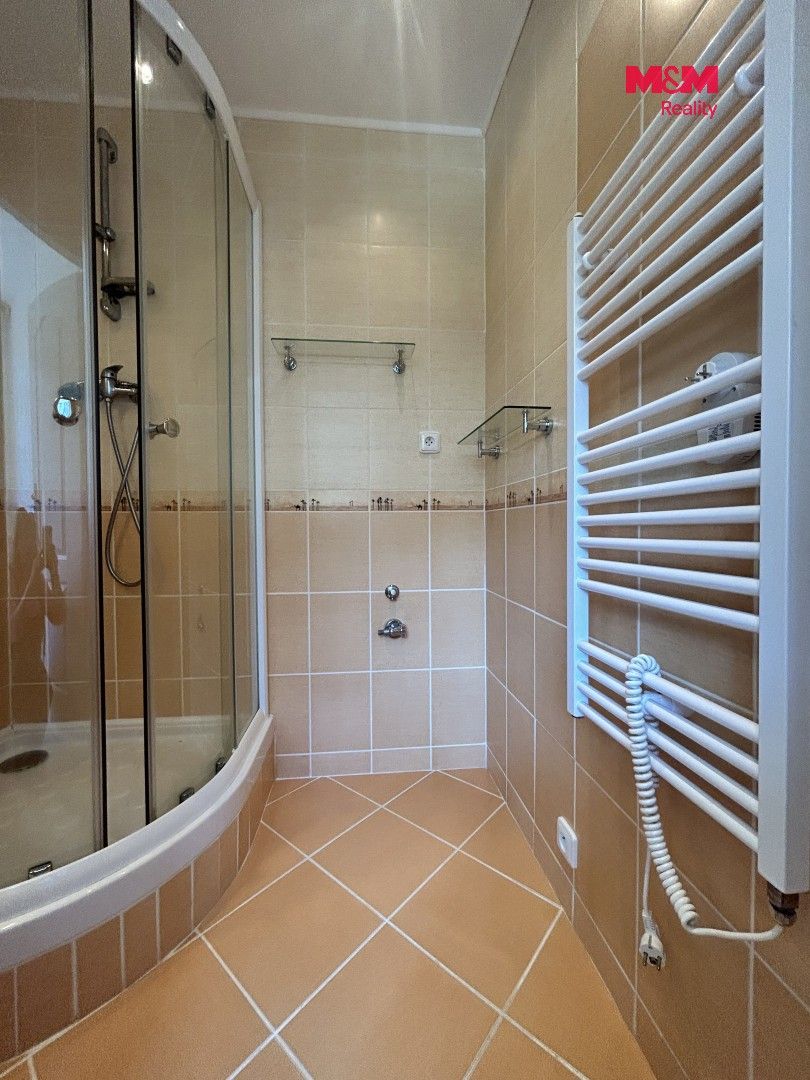 Pronájem bytu 1+1 46 m² - foto 13