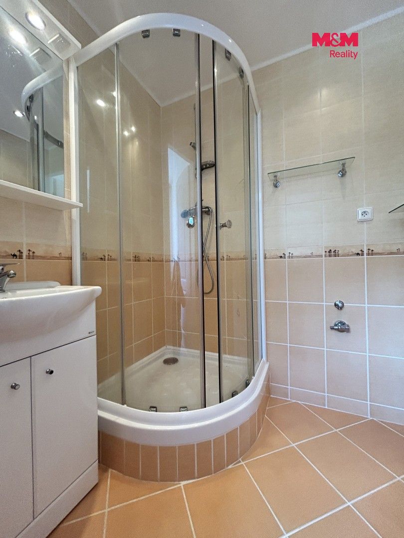 Pronájem bytu 1+1 46 m² - foto 16