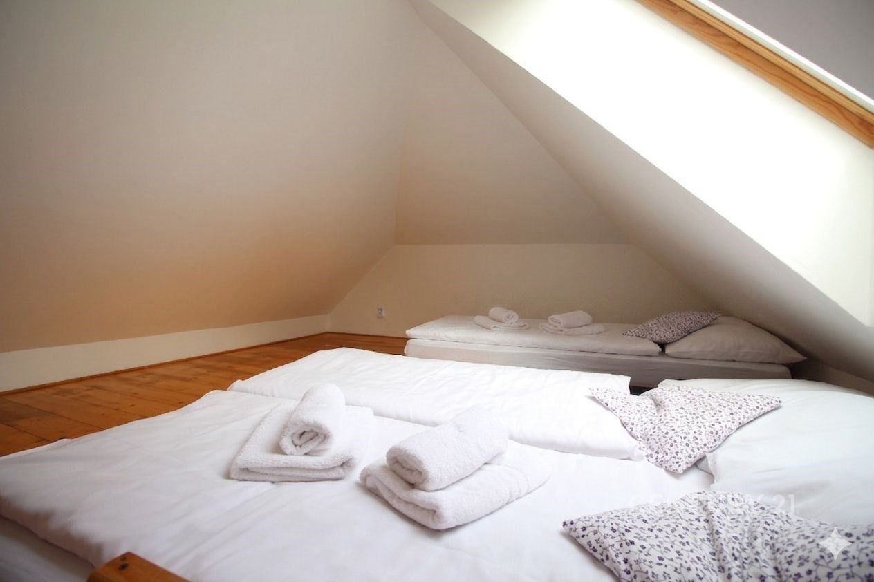 Prodej nemovitosti 500 m² - foto 19