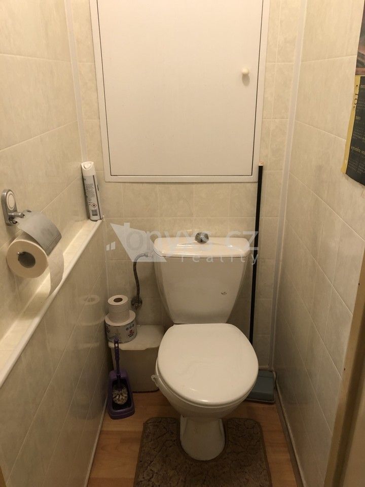 Pronájem bytu 2+1 55 m² - foto 10