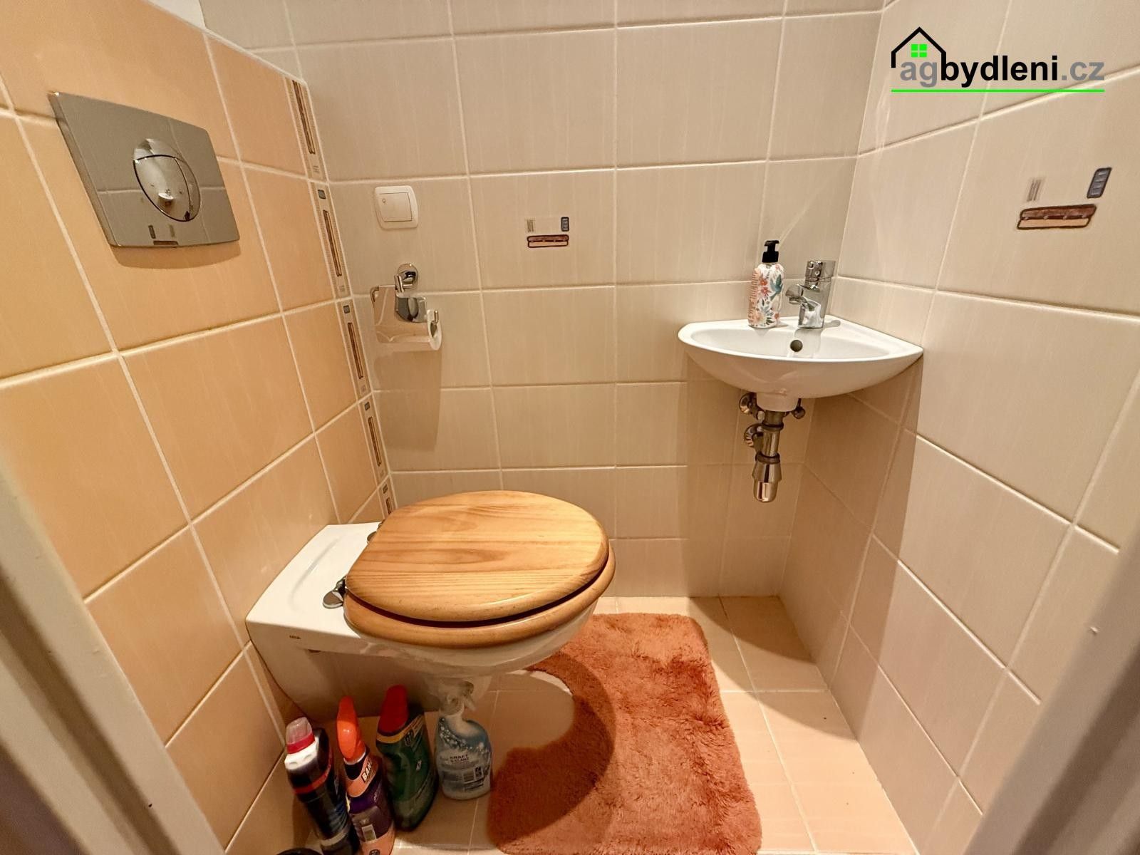 Pronájem bytu 3+1 66 m² - foto 6