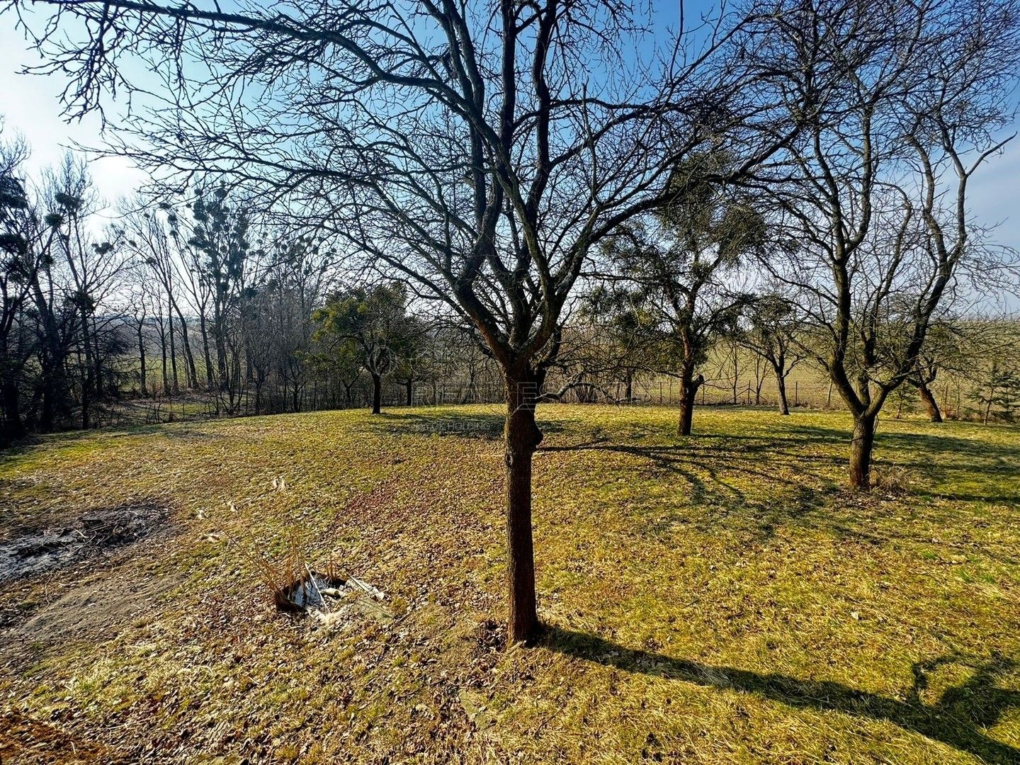Prodej pozemku 3362 m² - foto 1