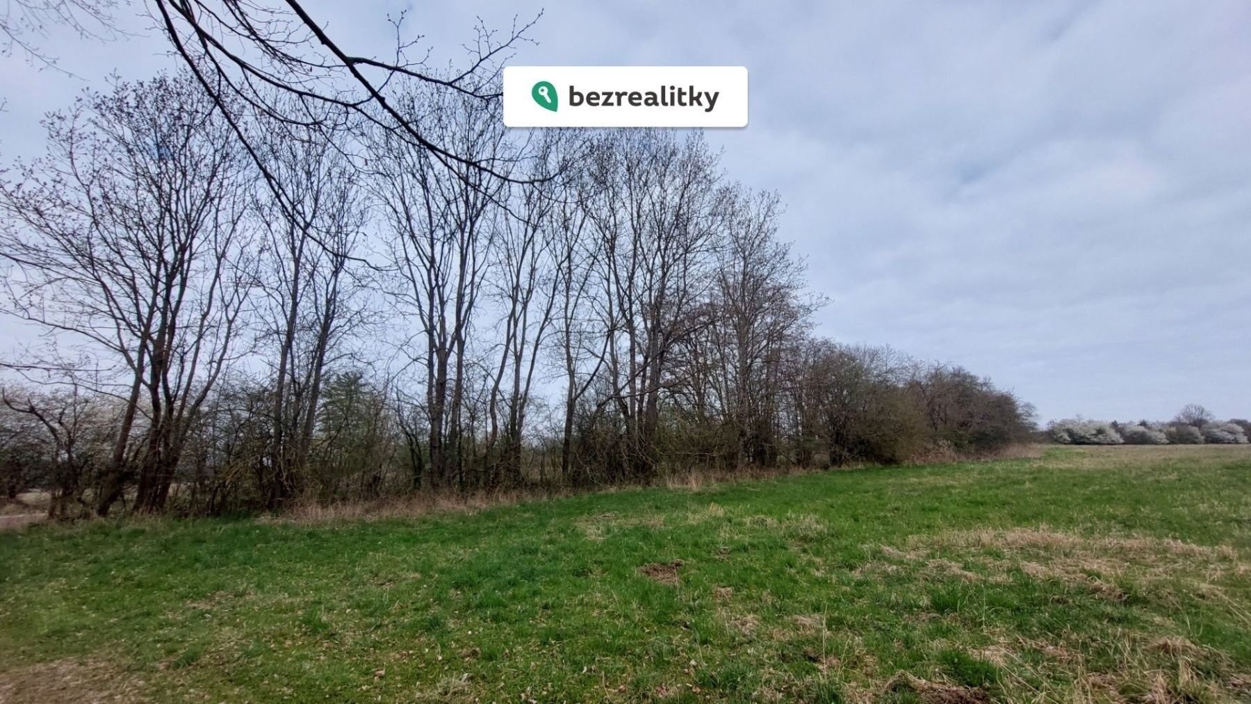 Prodej nemovitosti - foto 2