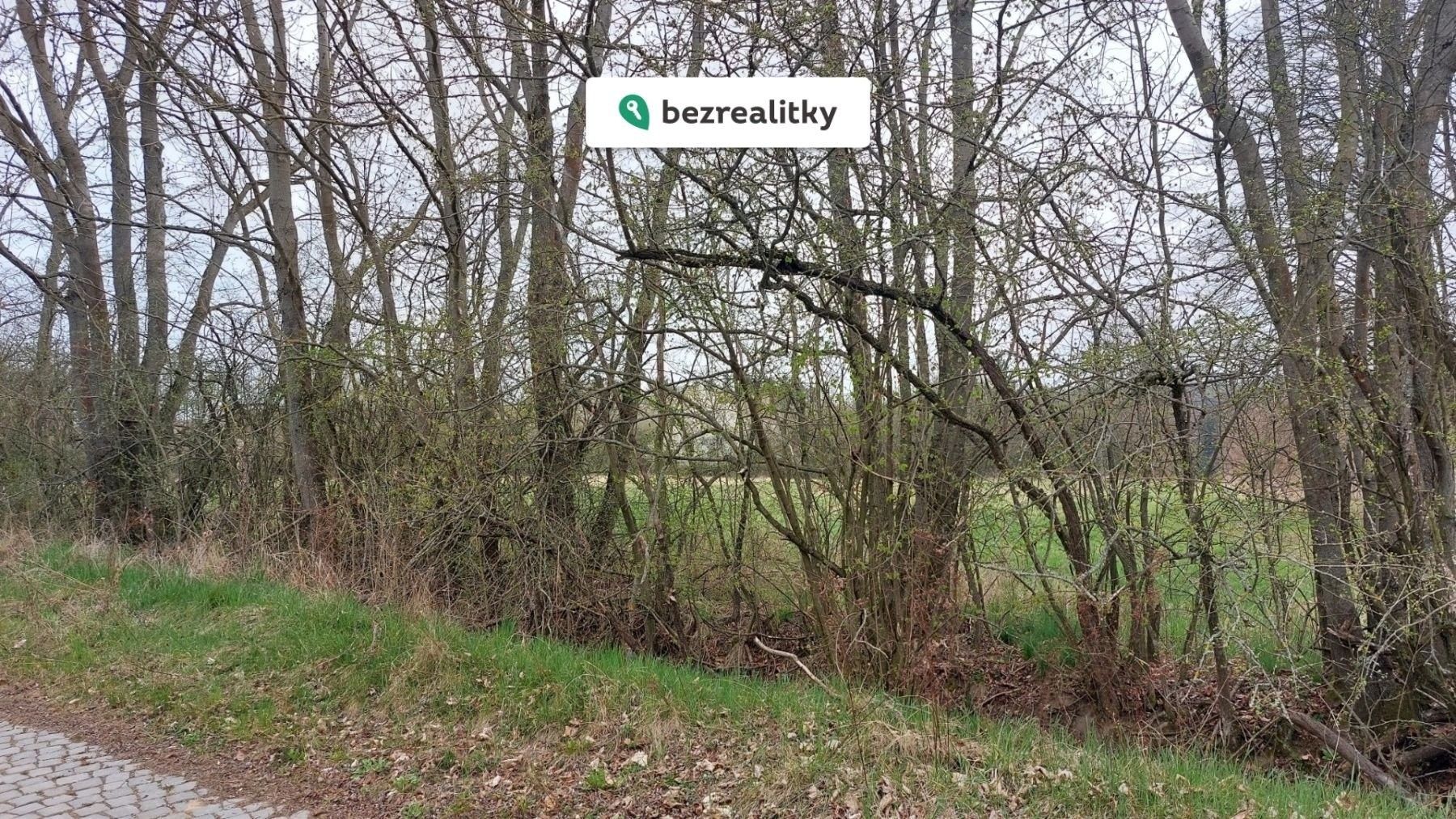 Prodej nemovitosti - foto 3