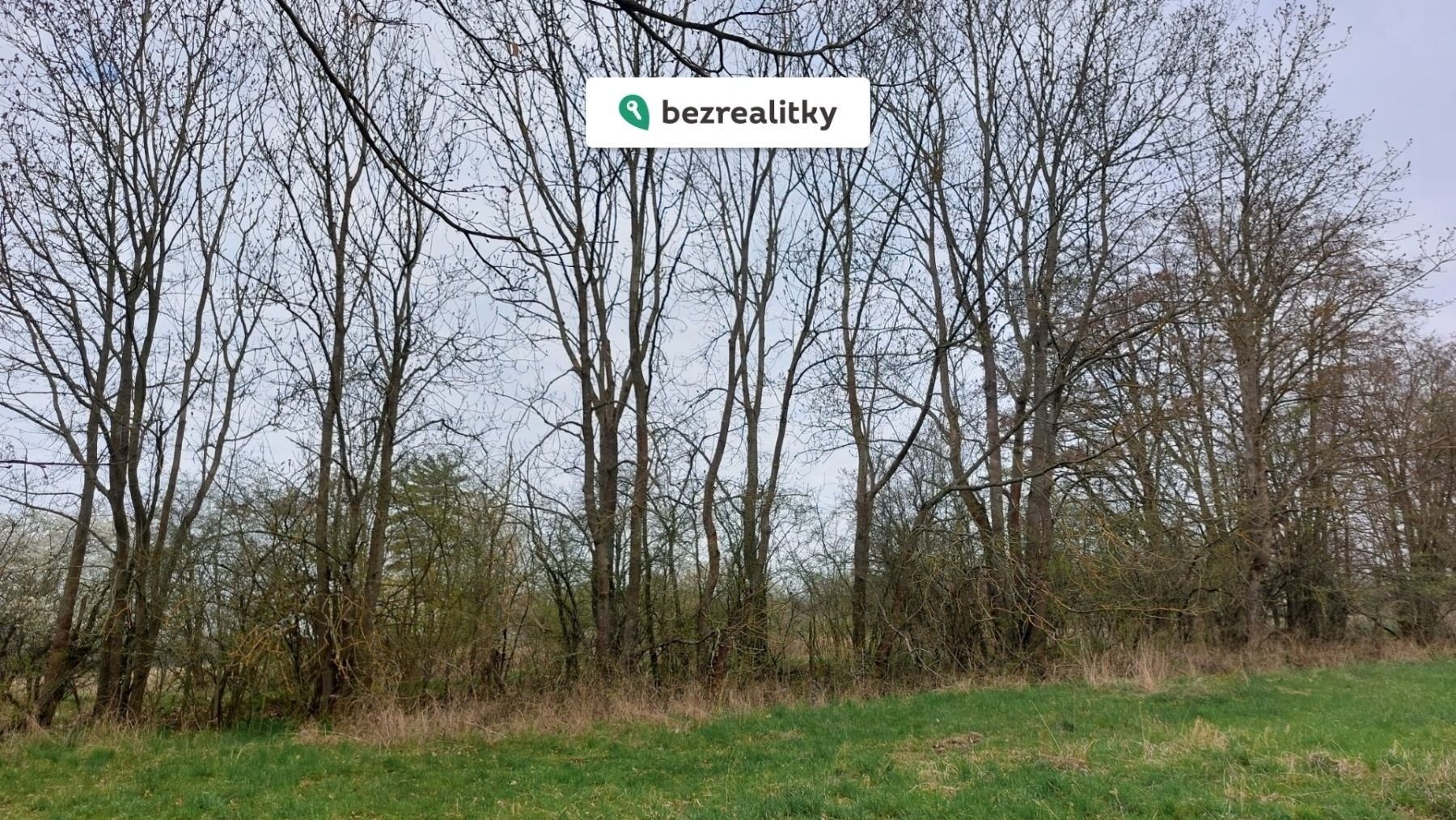 Prodej nemovitosti - foto 4