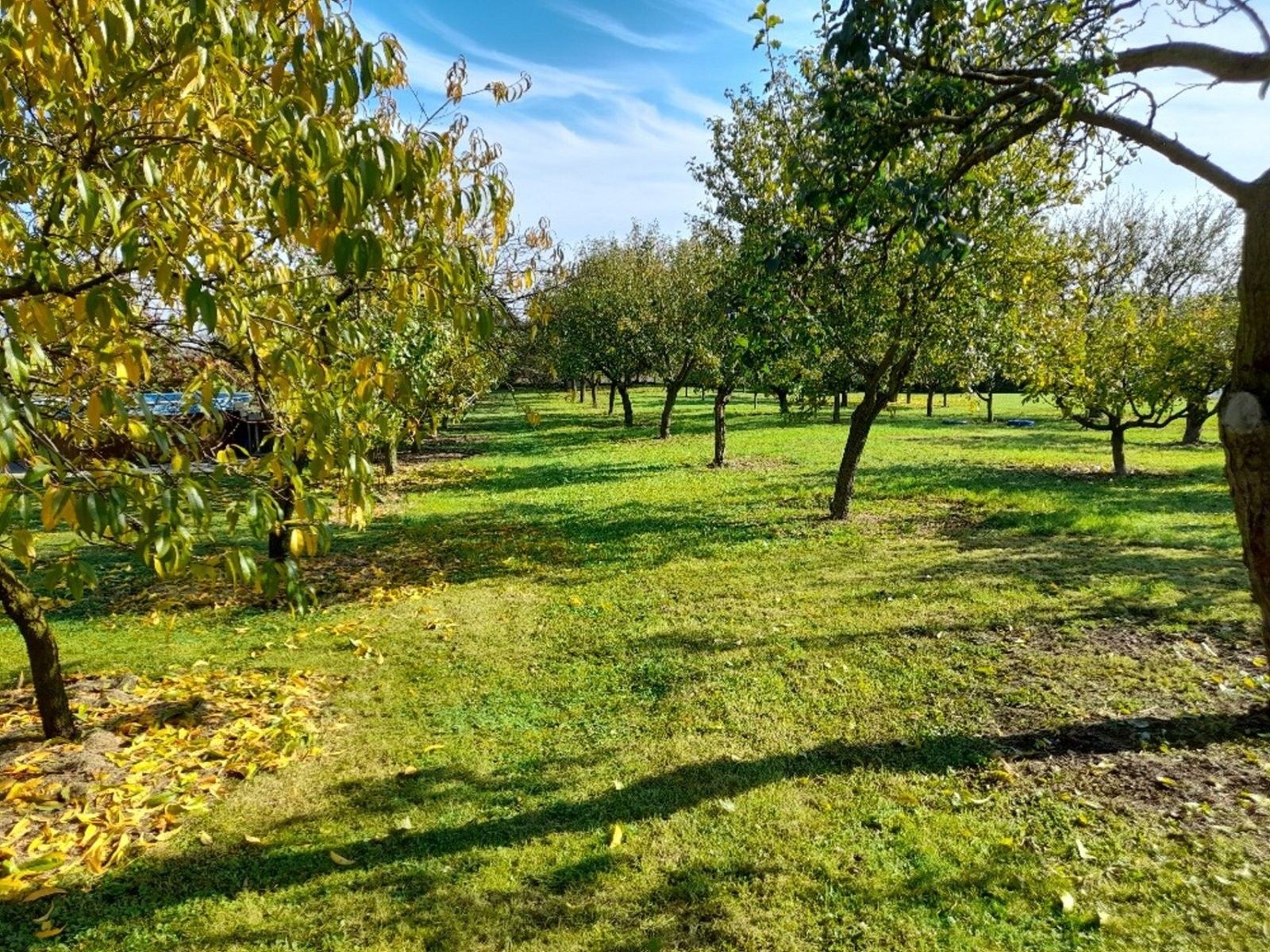 Prodej domu 164 m² - foto 9