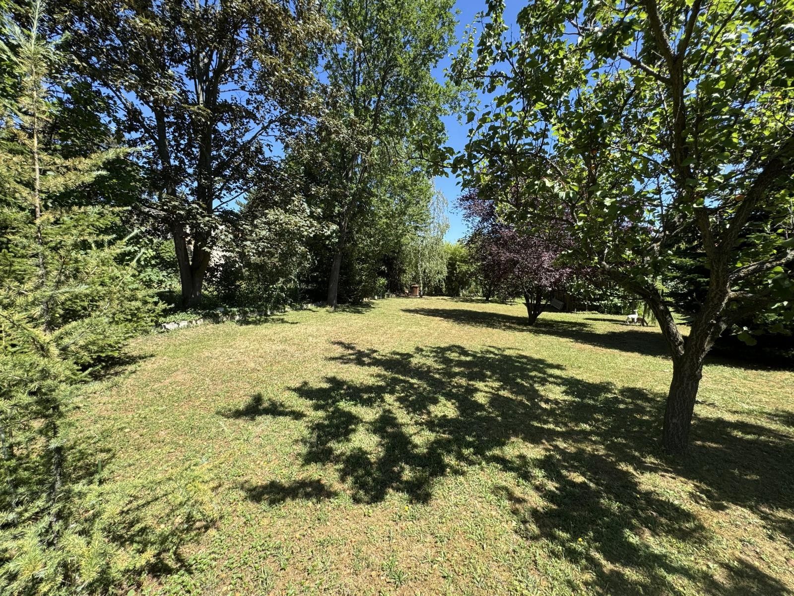 Prodej domu 301 m² - foto 11