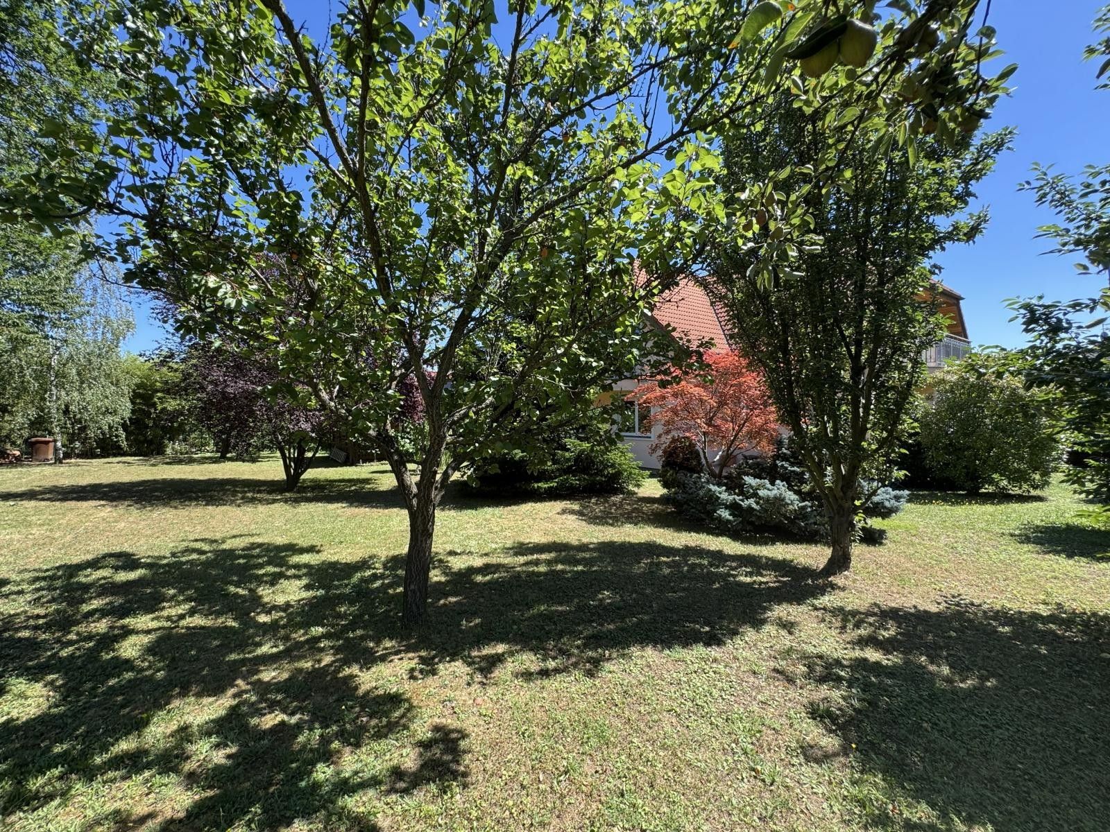 Prodej domu 301 m² - foto 12