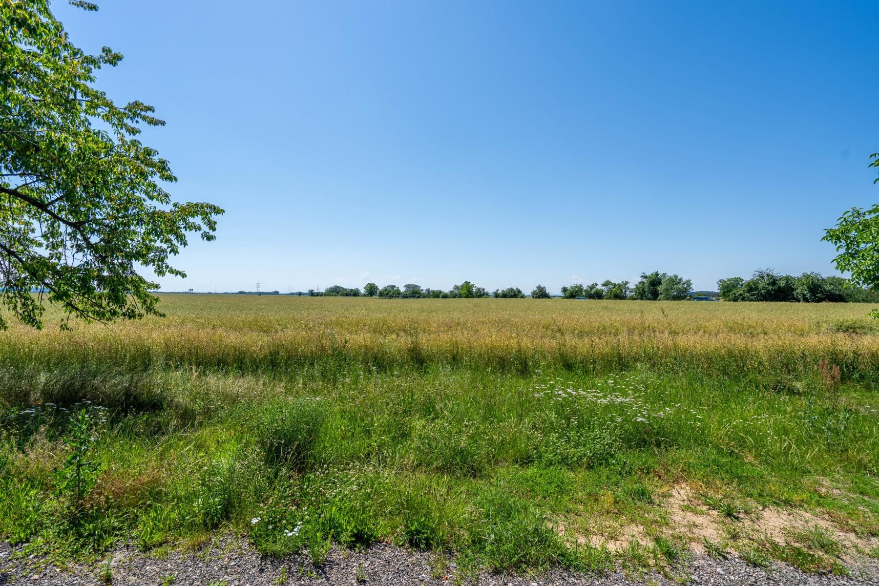 Prodej pozemku 14692 m² - foto 7