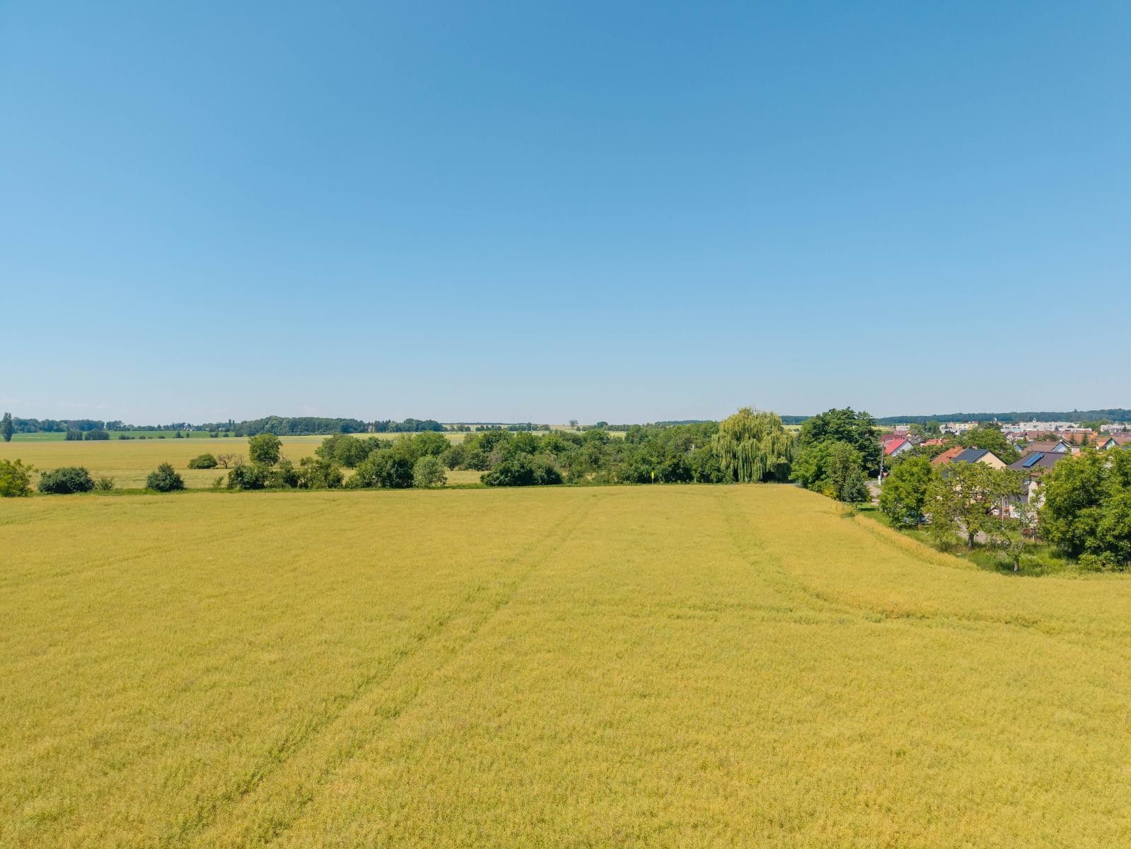 Prodej pozemku 14692 m² - foto 8