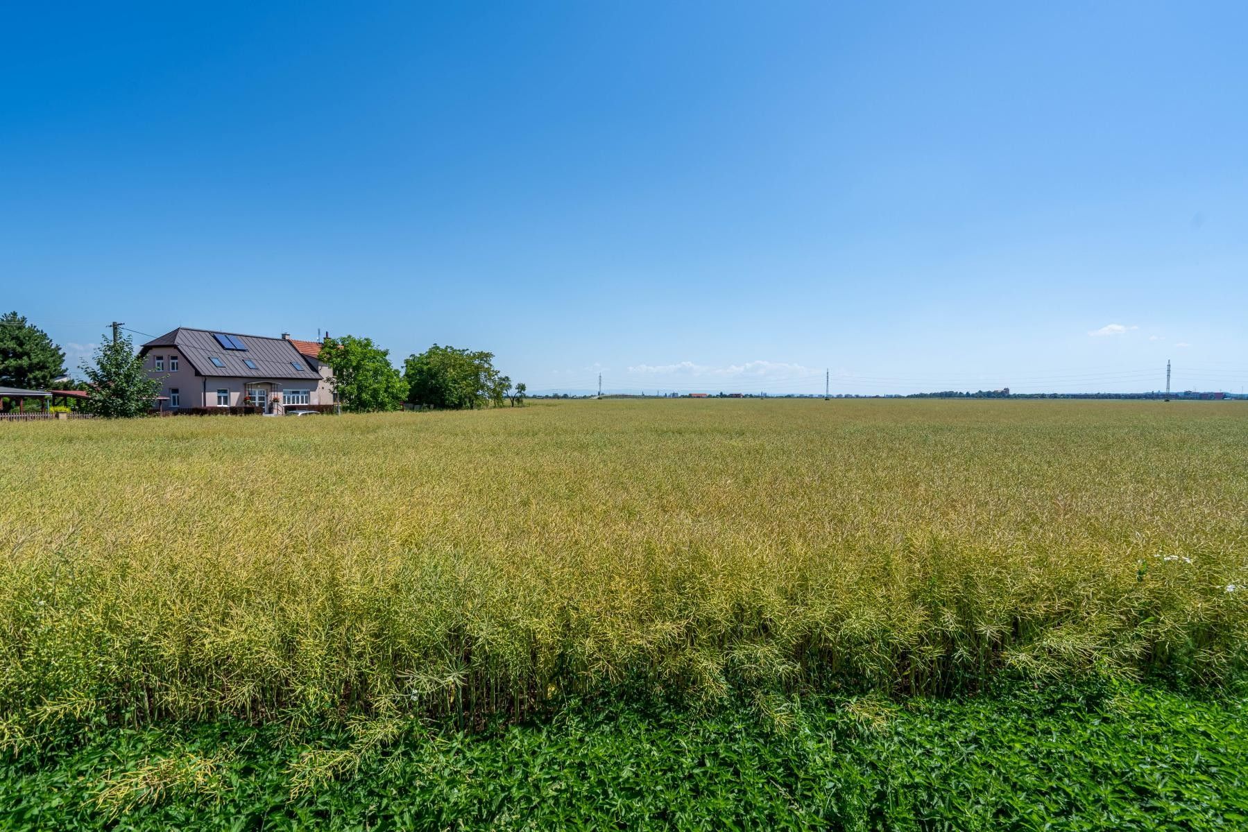 Prodej pozemku 14692 m² - foto 12