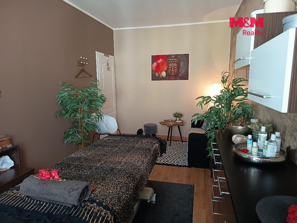 Pronájem bytu 2+kk 55 m² - foto 5