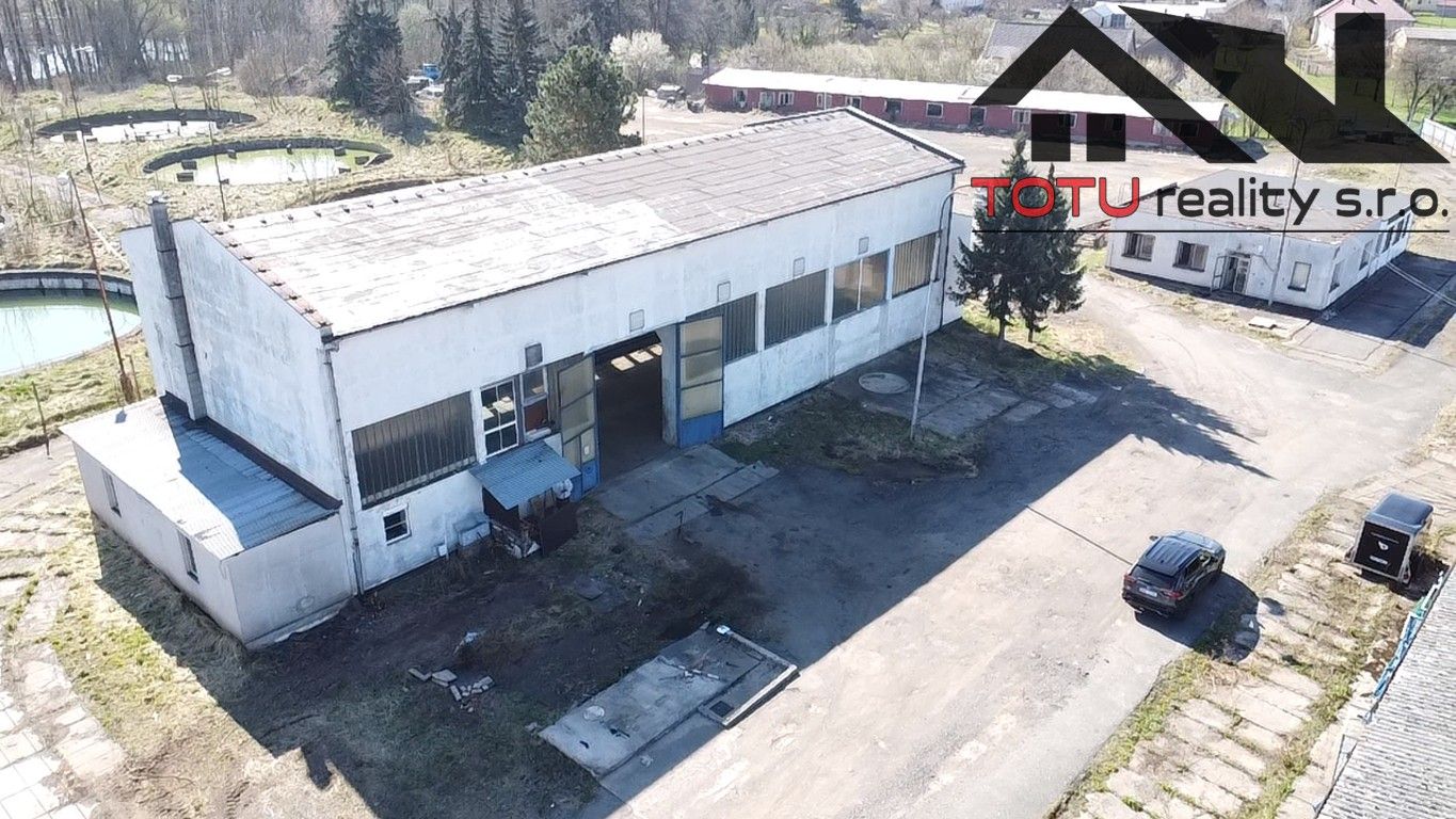 Pronájem komerčního prostoru 3000 m² - foto 5