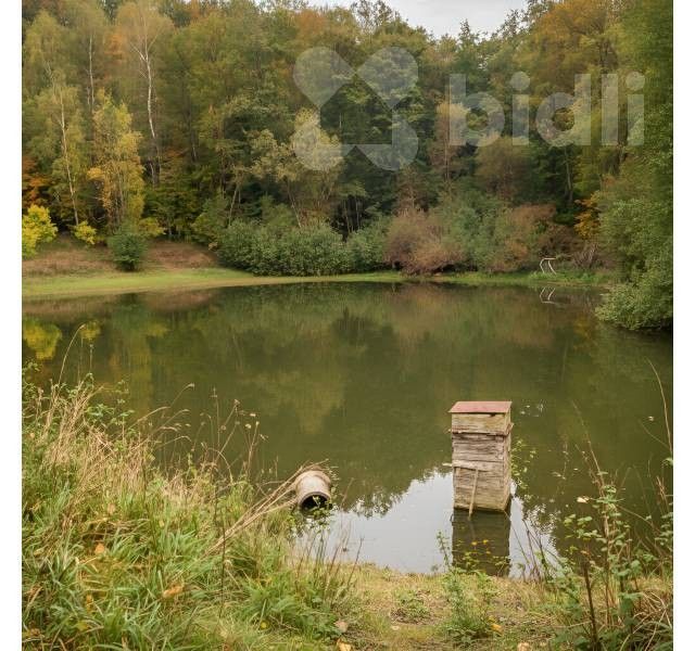 Prodej domu 70 m² - foto 4