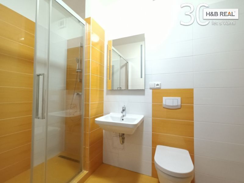 Pronájem bytu 1+kk 46 m² - foto 11