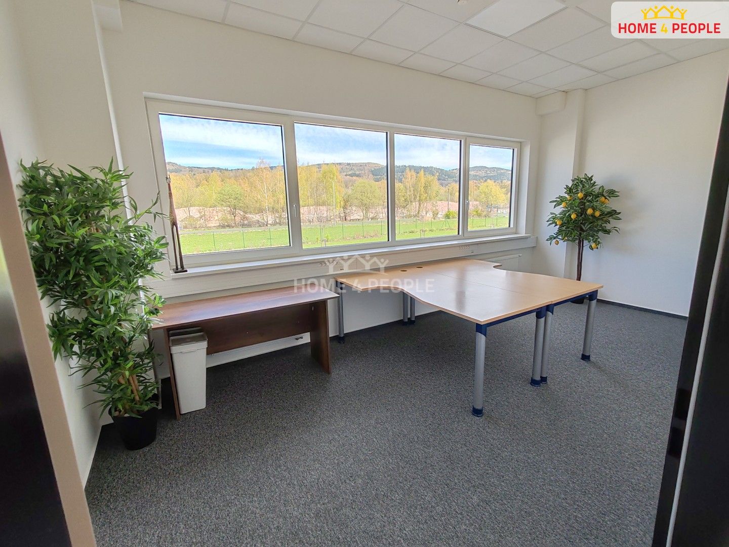 Pronájem komerčního prostoru 4400 m² - foto 28