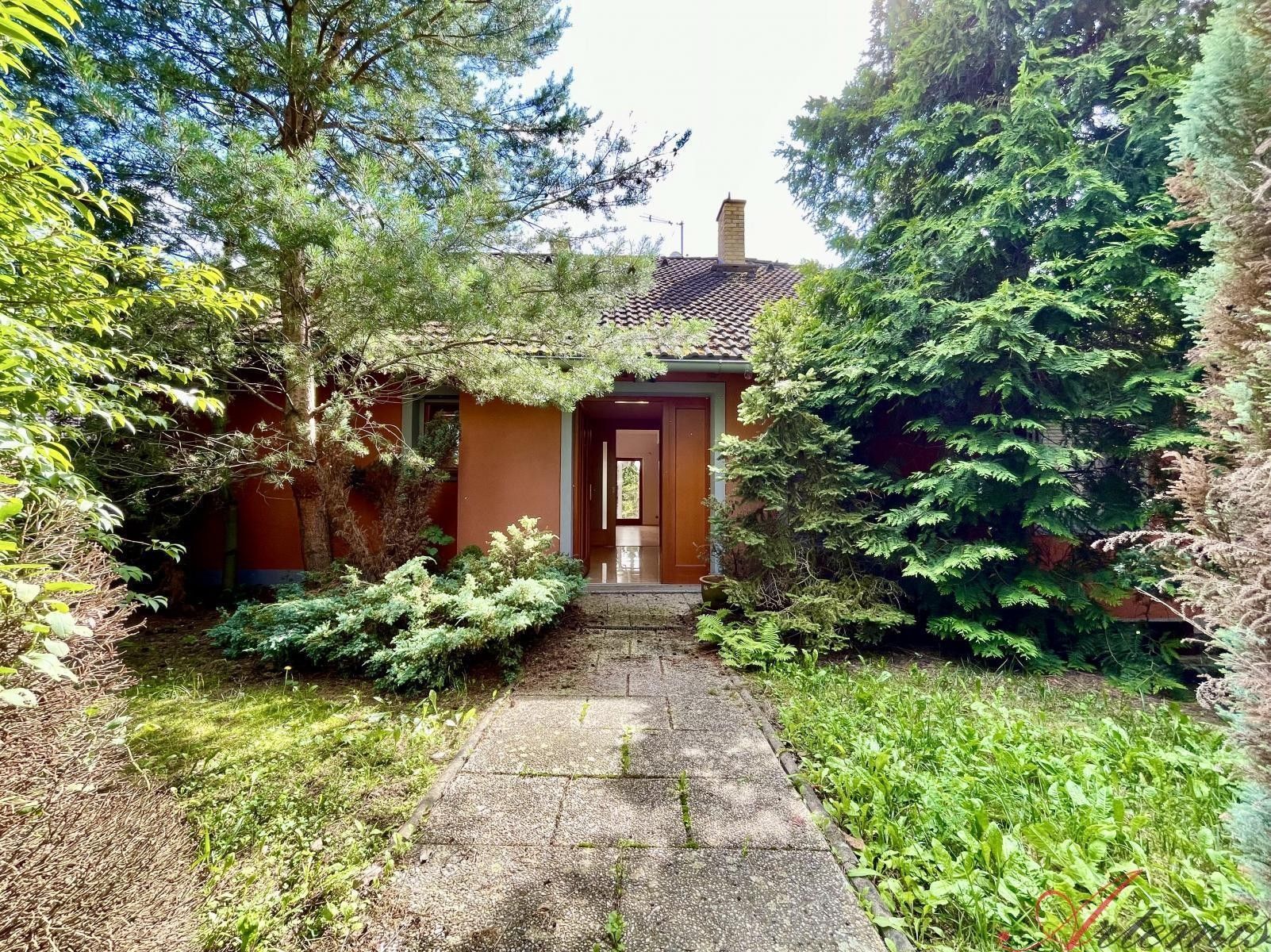 Prodej domu 380 m² - foto 6
