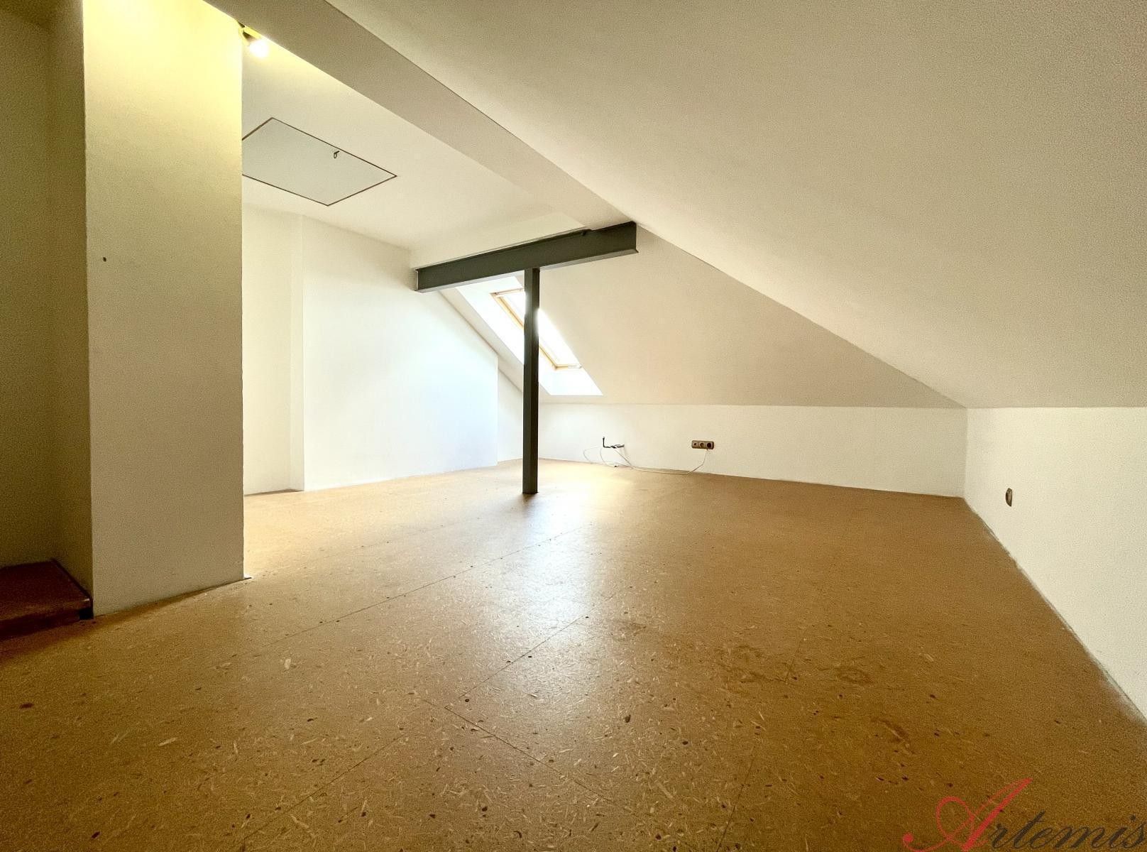 Prodej domu 380 m² - foto 21