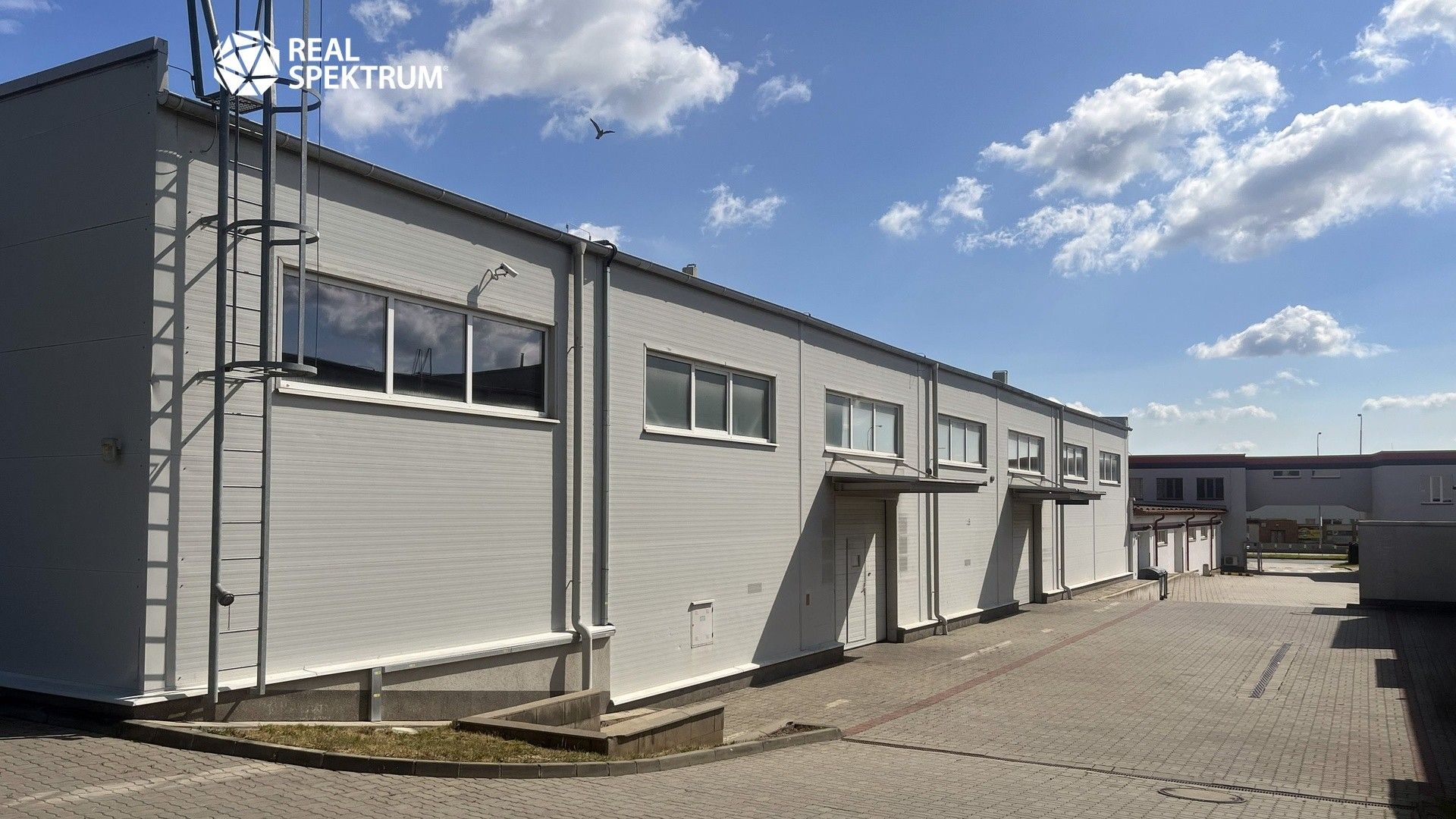 Pronájem komerčního prostoru 350 m² - foto 4