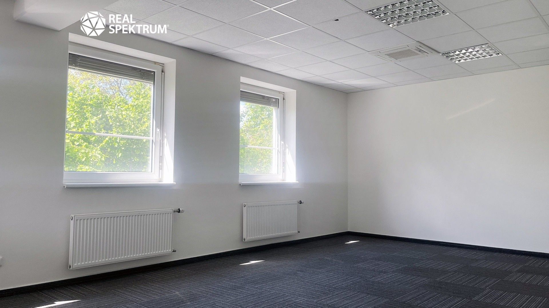 Pronájem komerčního prostoru 350 m² - foto 8
