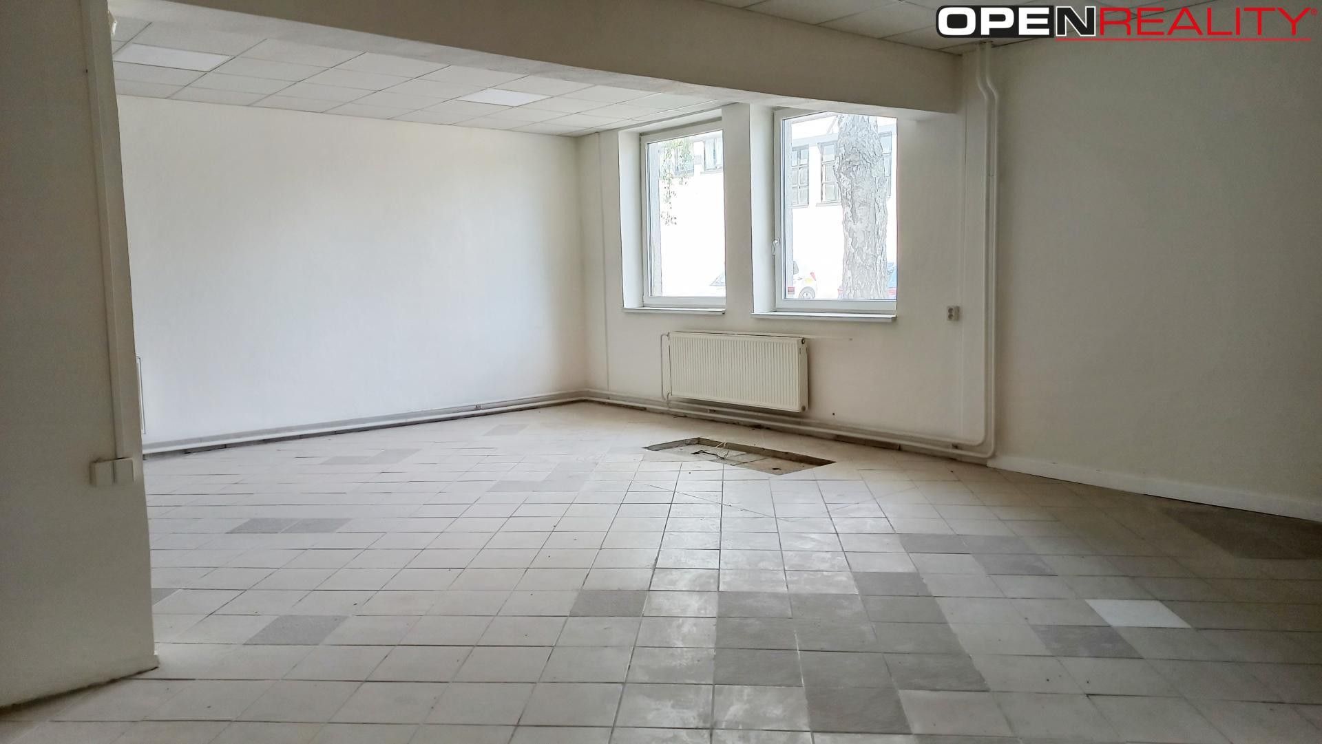 Pronájem komerčního prostoru 565 m² - foto 10