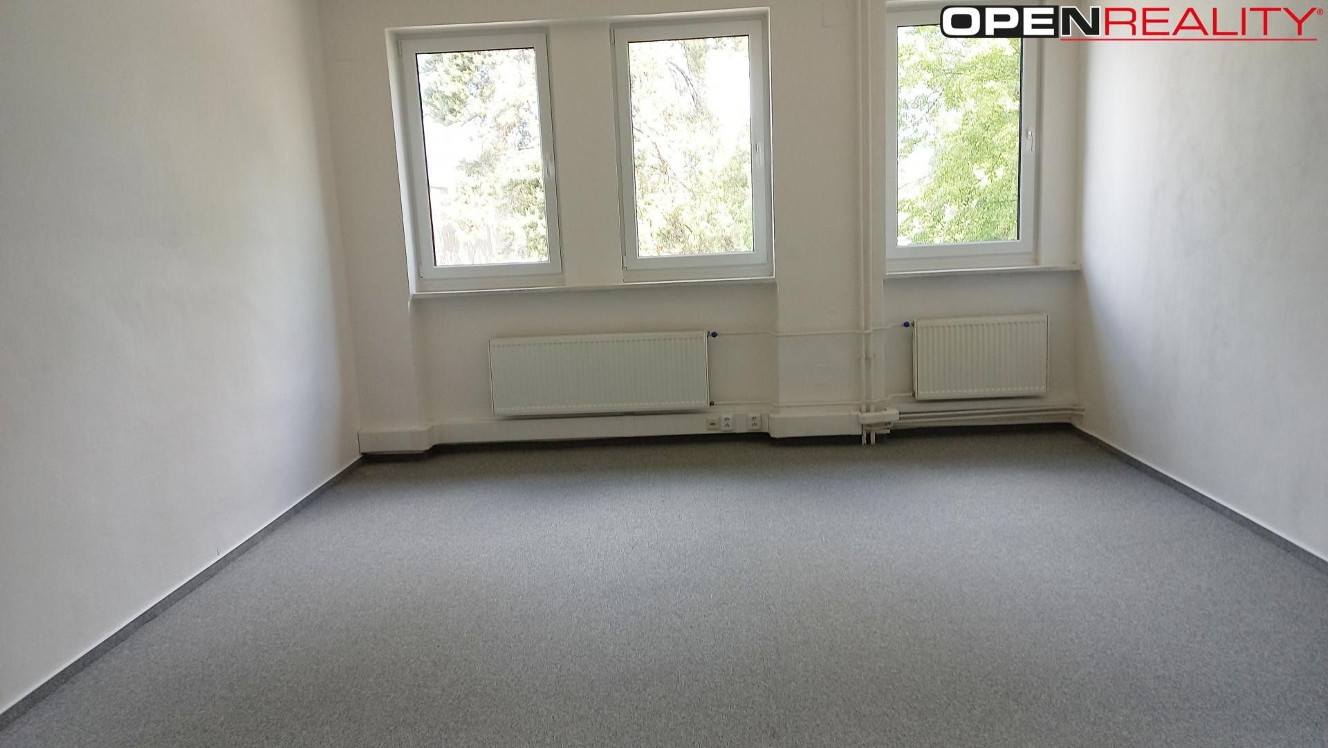 Pronájem komerčního prostoru 760 m² - foto 4