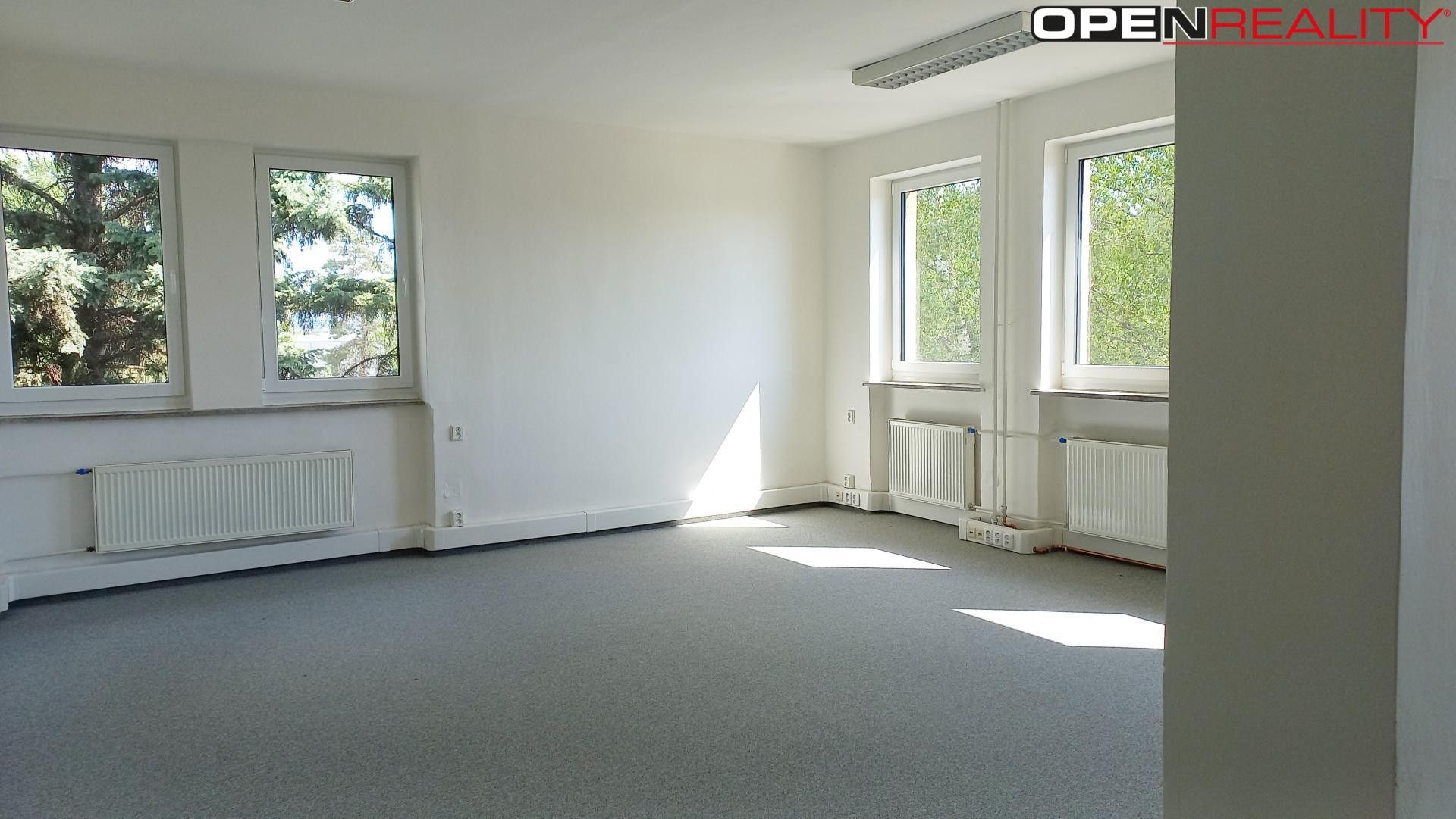 Pronájem komerčního prostoru 760 m² - foto 1
