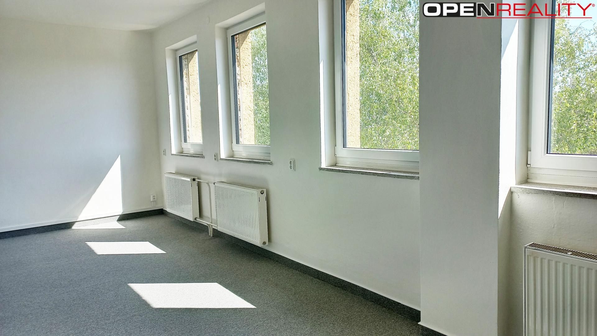 Pronájem komerčního prostoru 760 m² - foto 9
