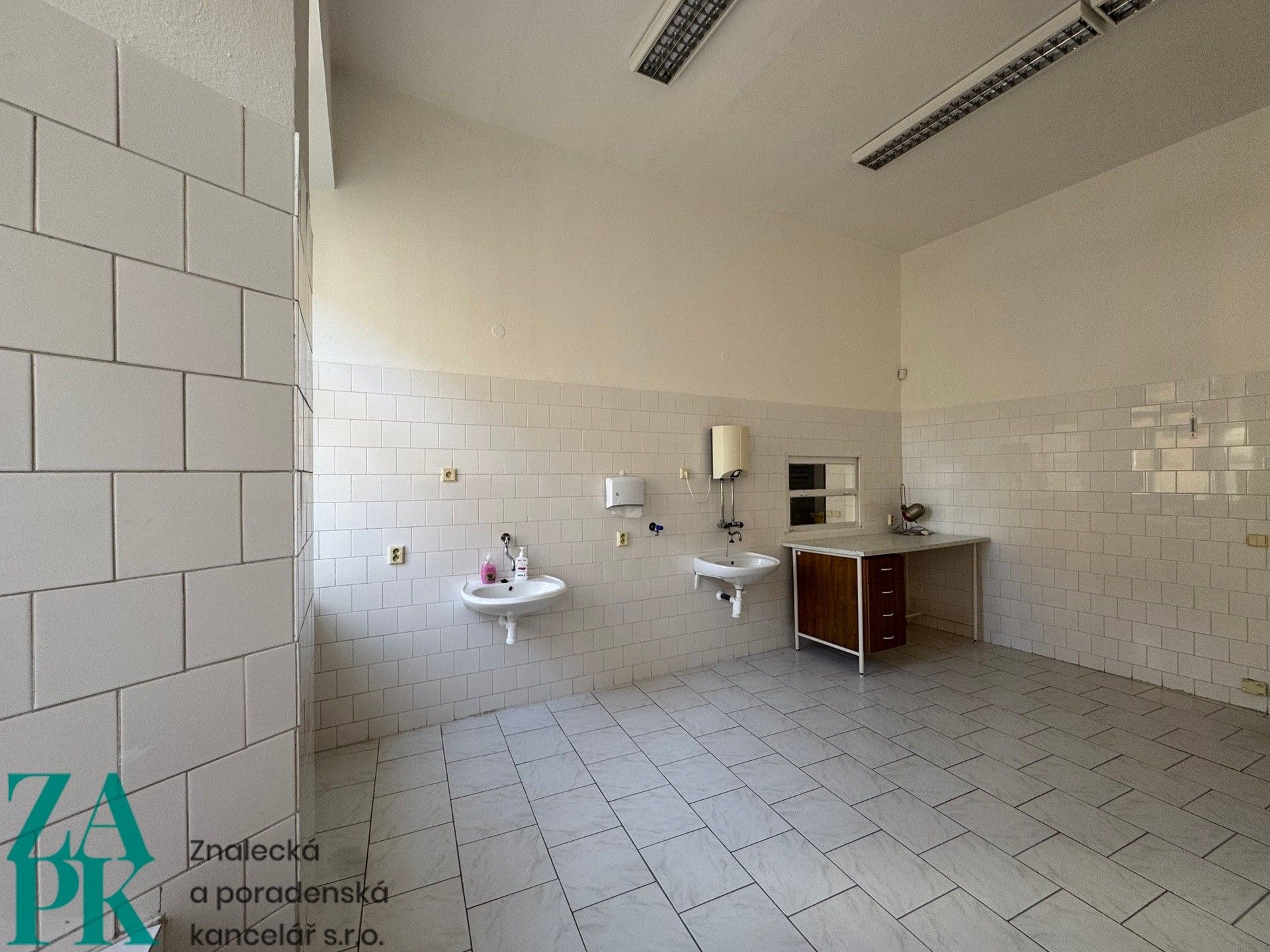 Pronájem komerčního prostoru 226 m² - foto 16