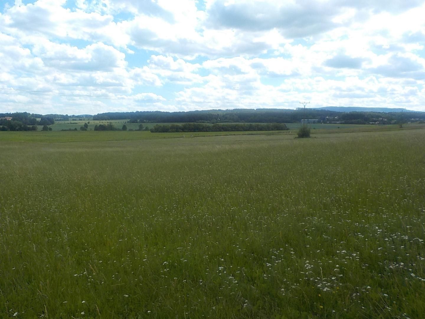Prodej pozemku 1714 m² - foto 4