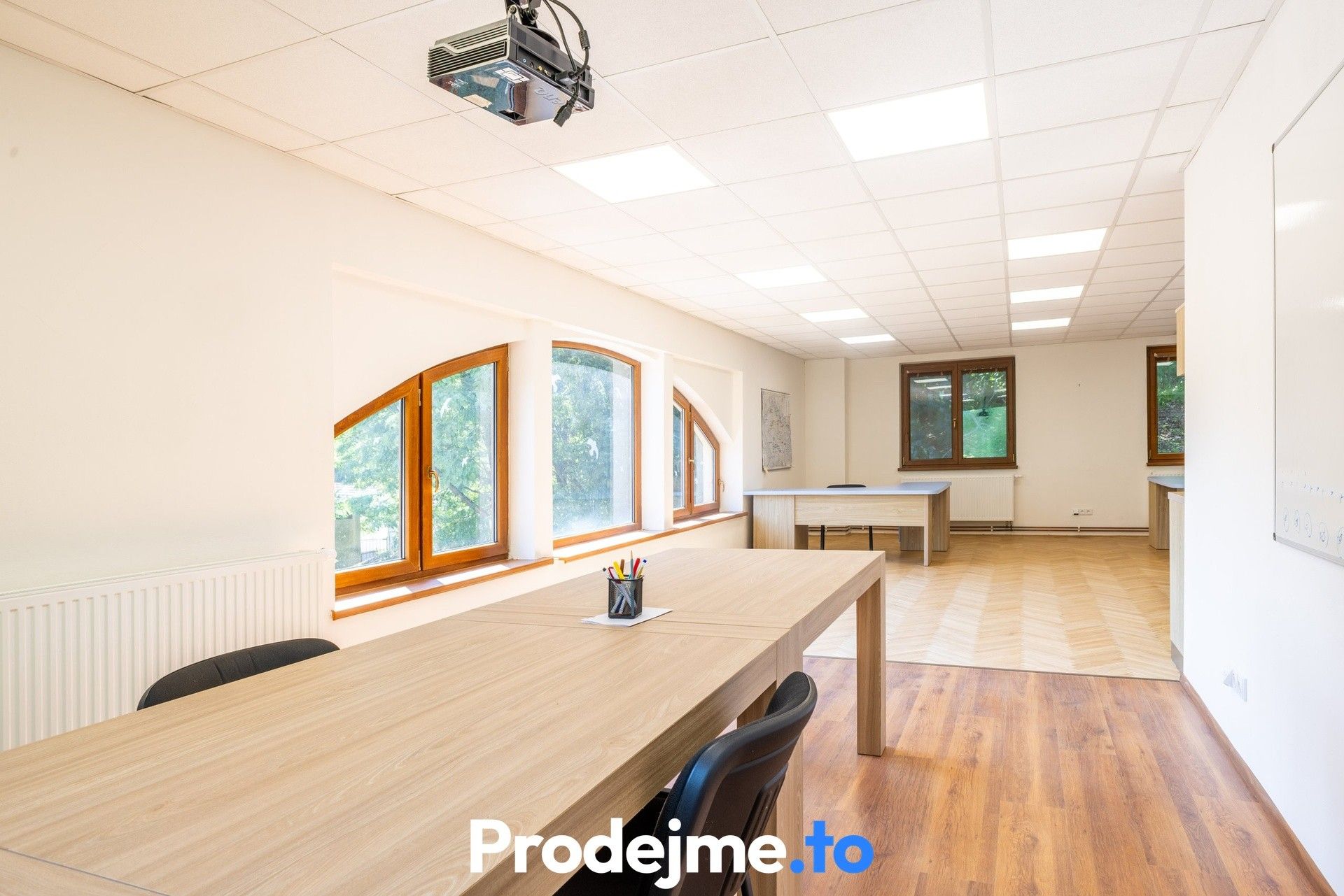 Prodej nemovitosti 1000 m² - foto 6