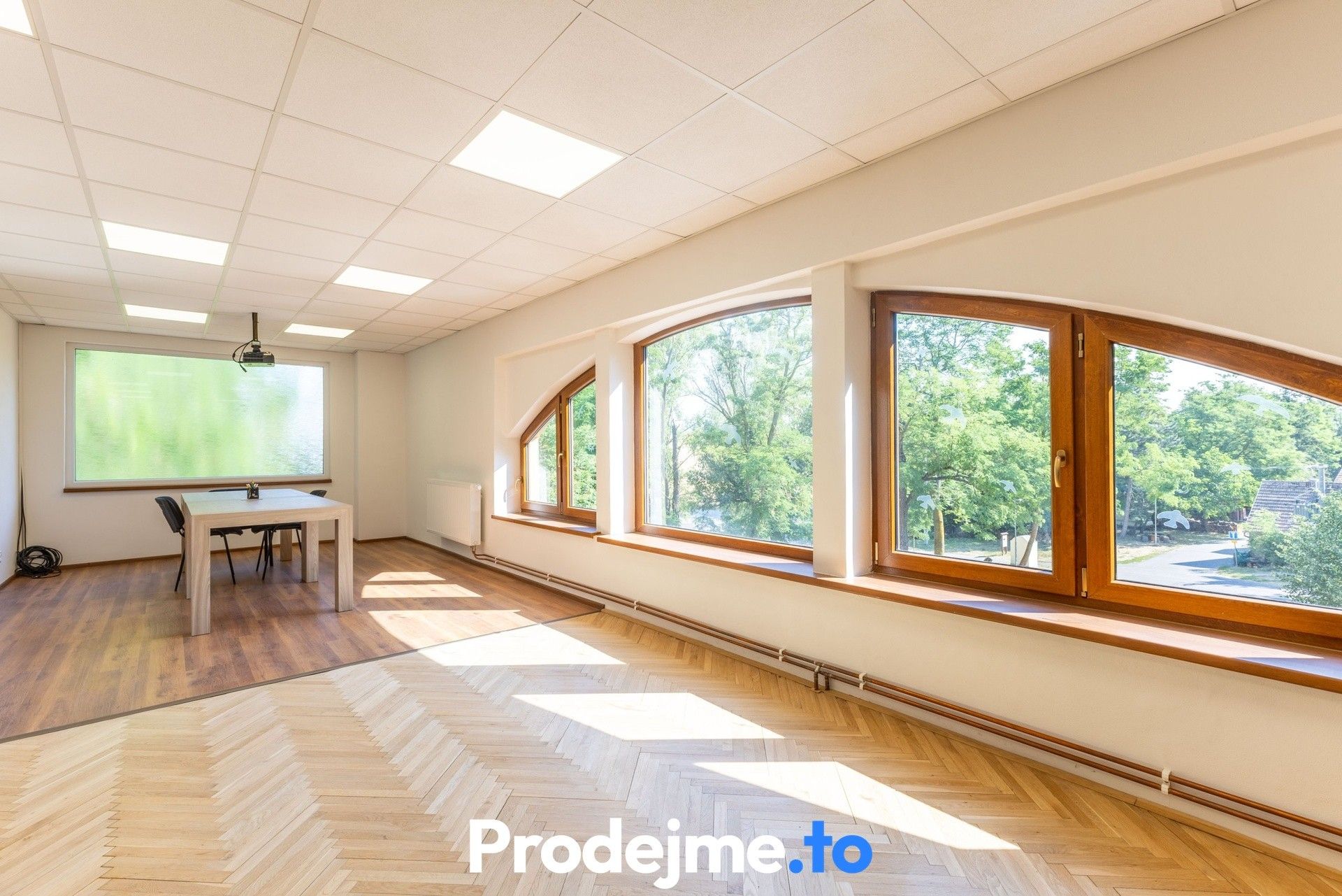Prodej nemovitosti 1000 m² - foto 5