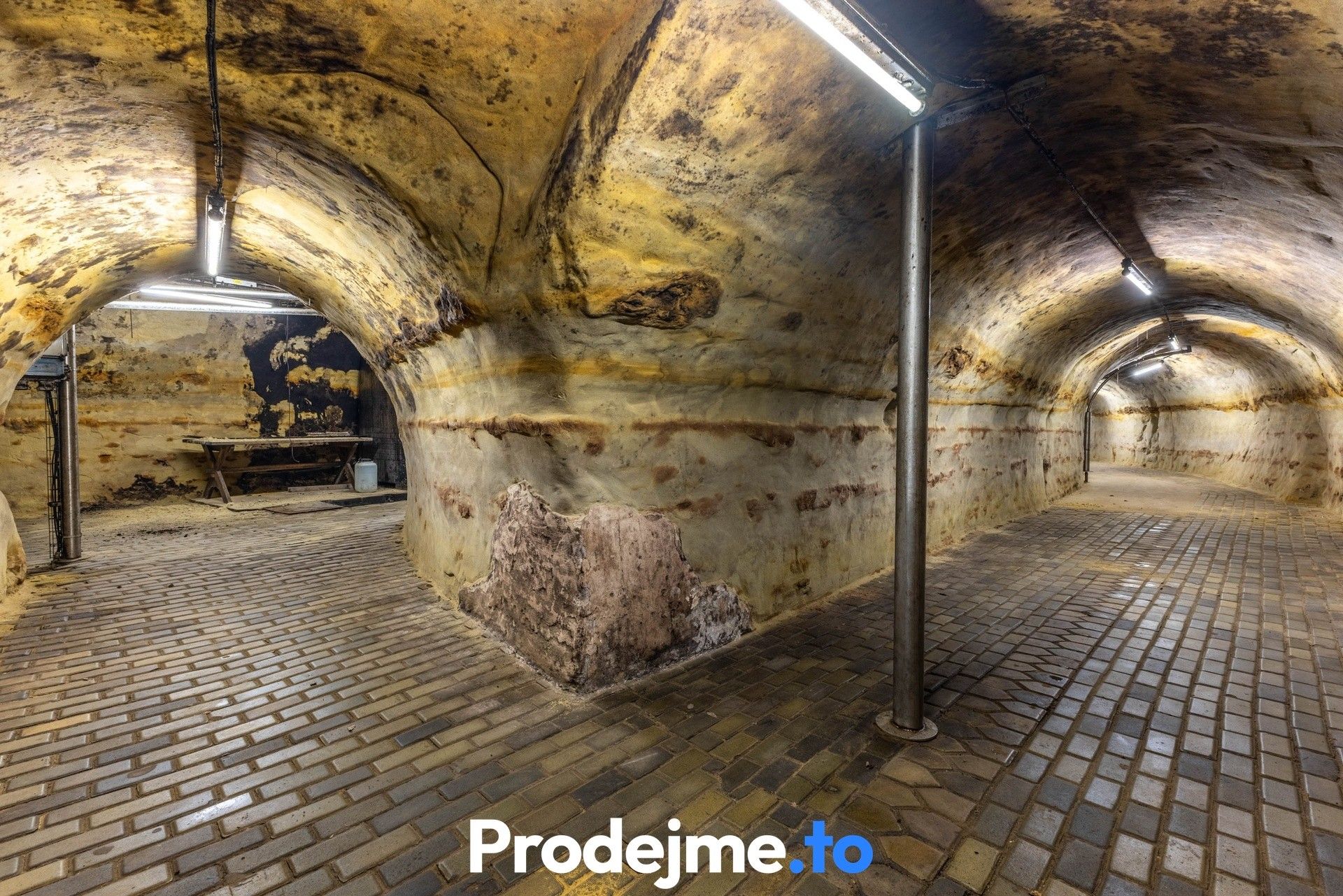 Prodej nemovitosti 1000 m² - foto 3