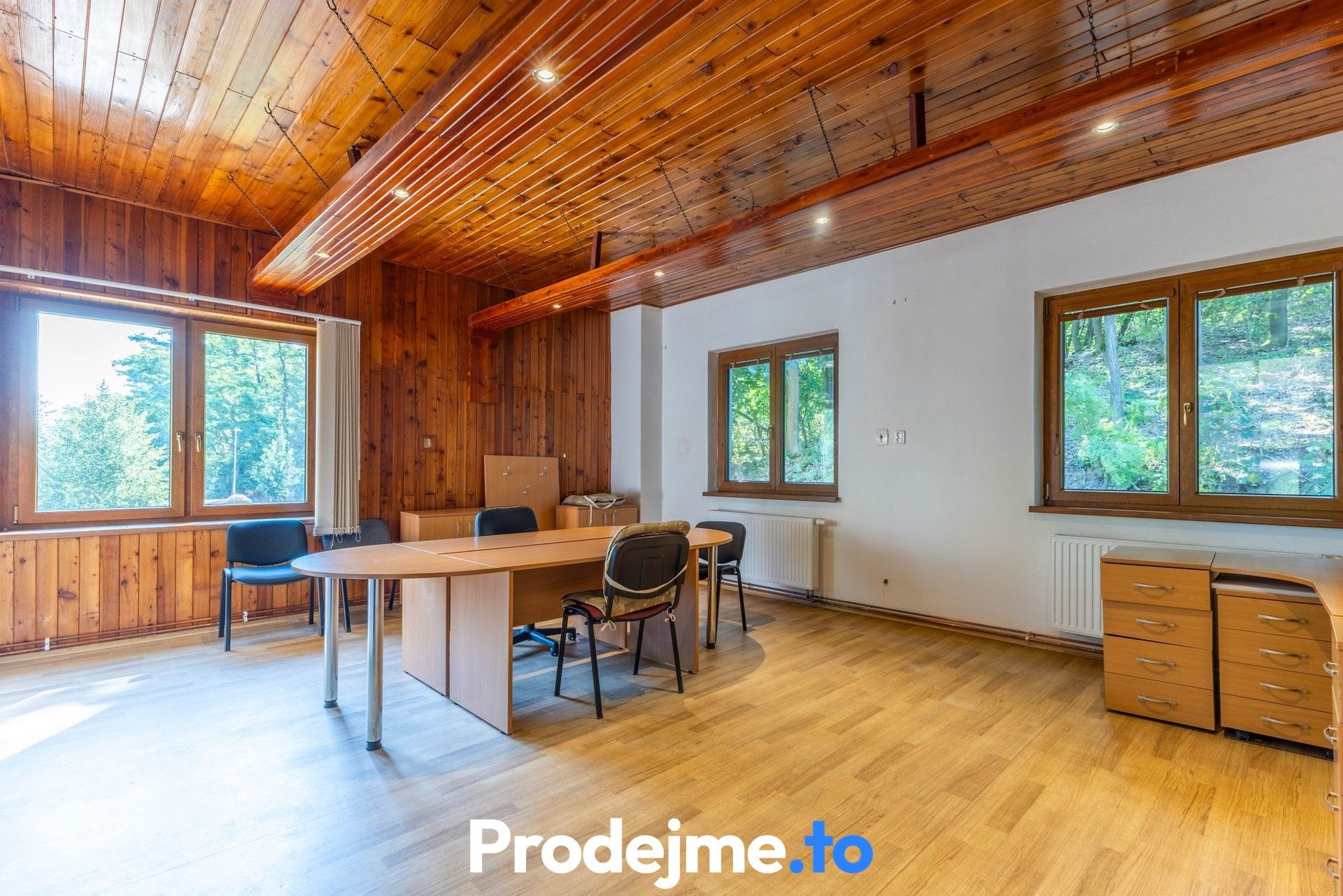 Prodej nemovitosti 1000 m² - foto 9