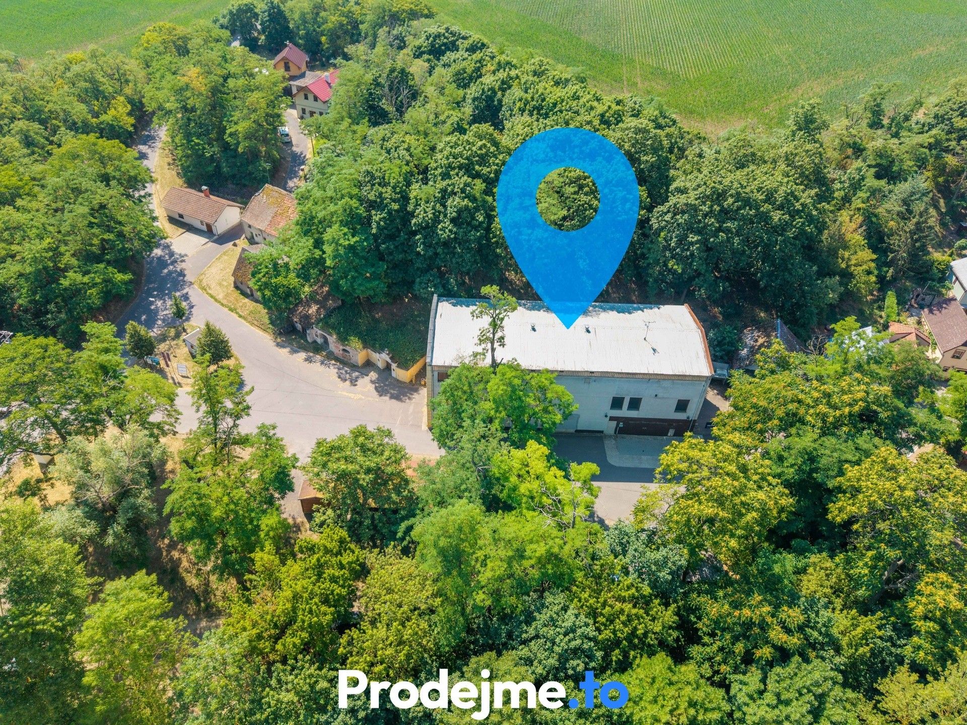 Prodej nemovitosti 1000 m² - foto 24