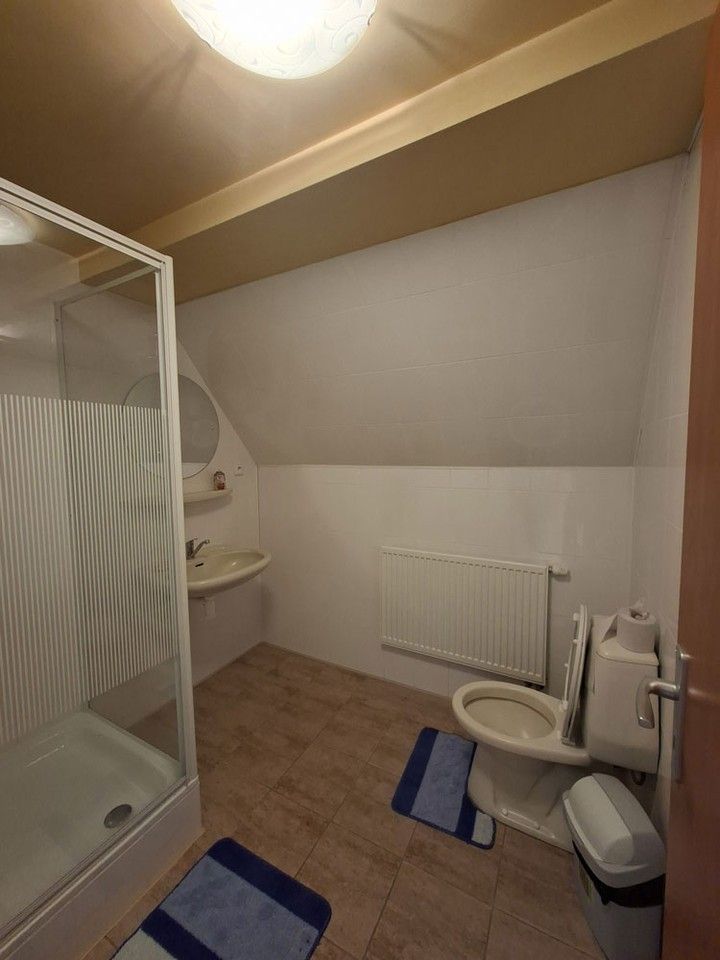 Prodej domu 350 m² - foto 27