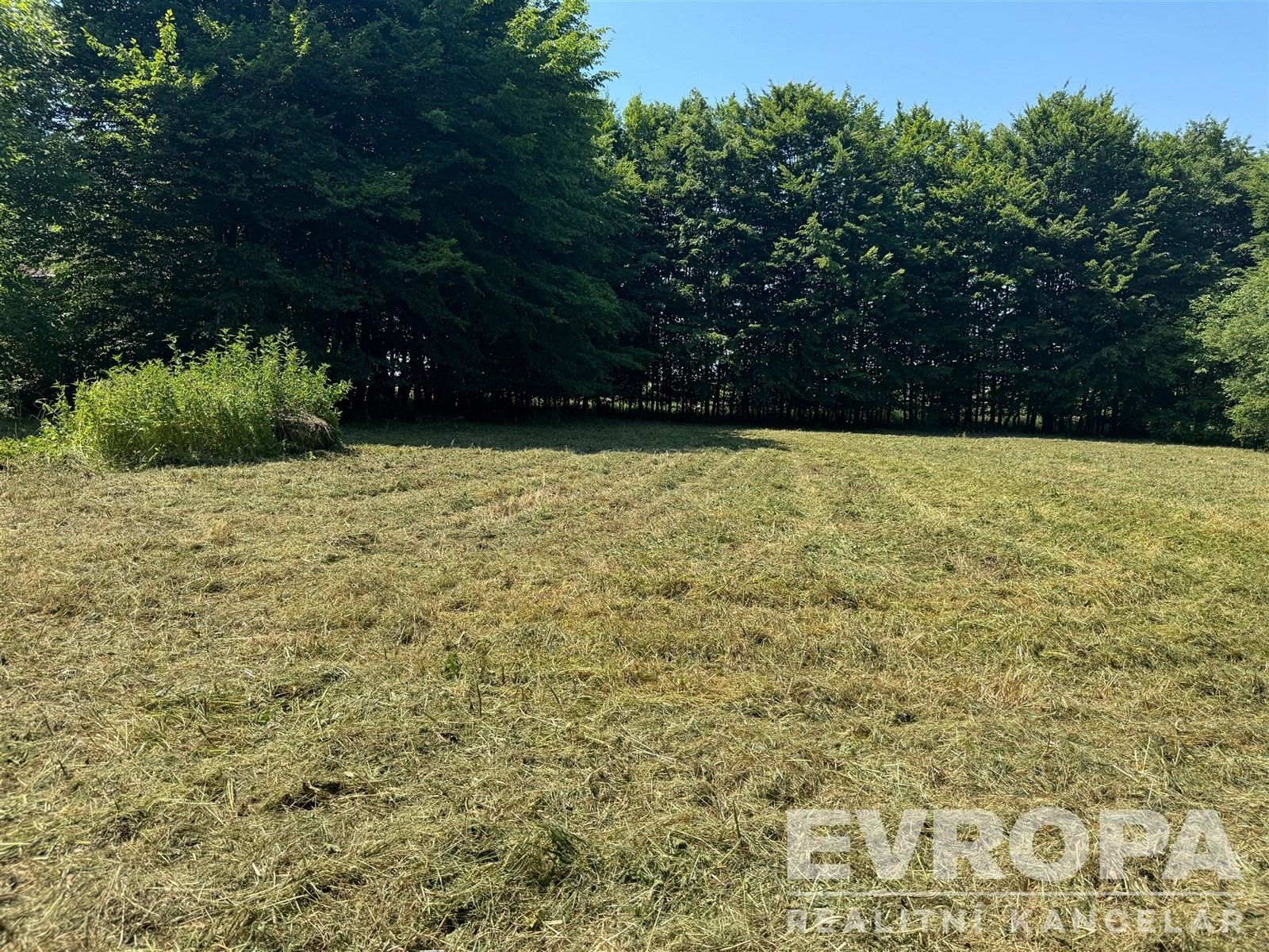 Prodej pozemku 1614 m² - foto 5