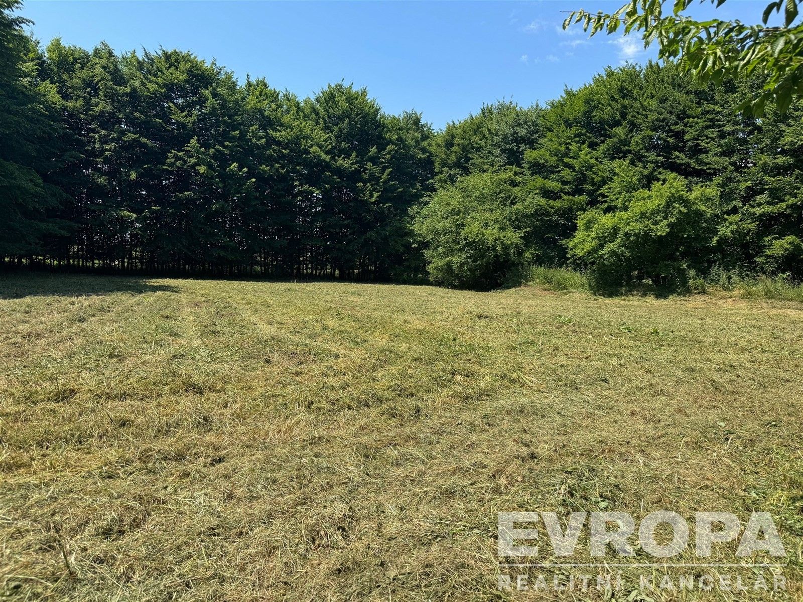 Prodej pozemku 1614 m² - foto 6