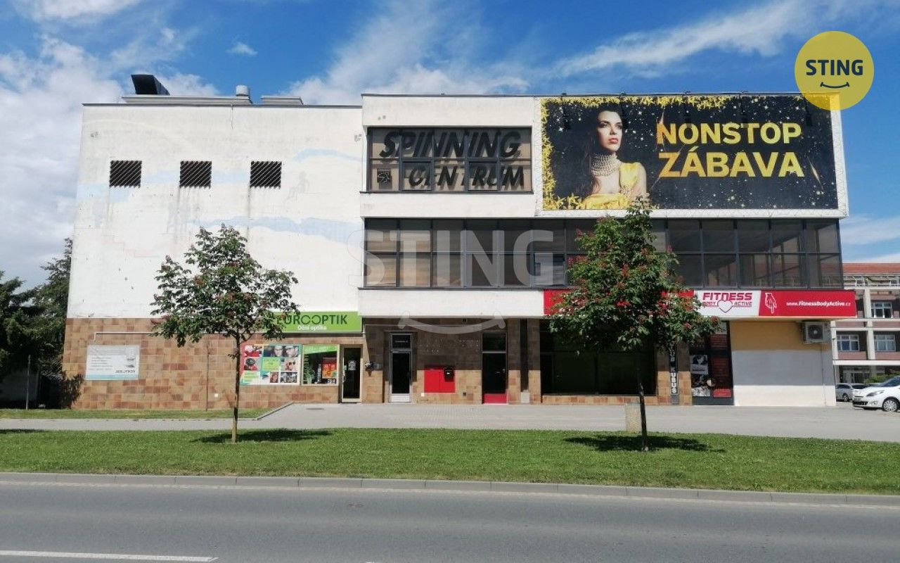 Pronájem komerčního prostoru 845 m² - foto 1