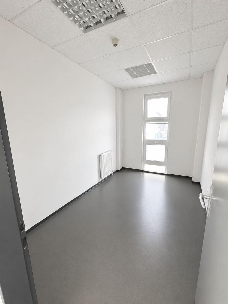 Pronájem komerčního prostoru 1089 m² - foto 11