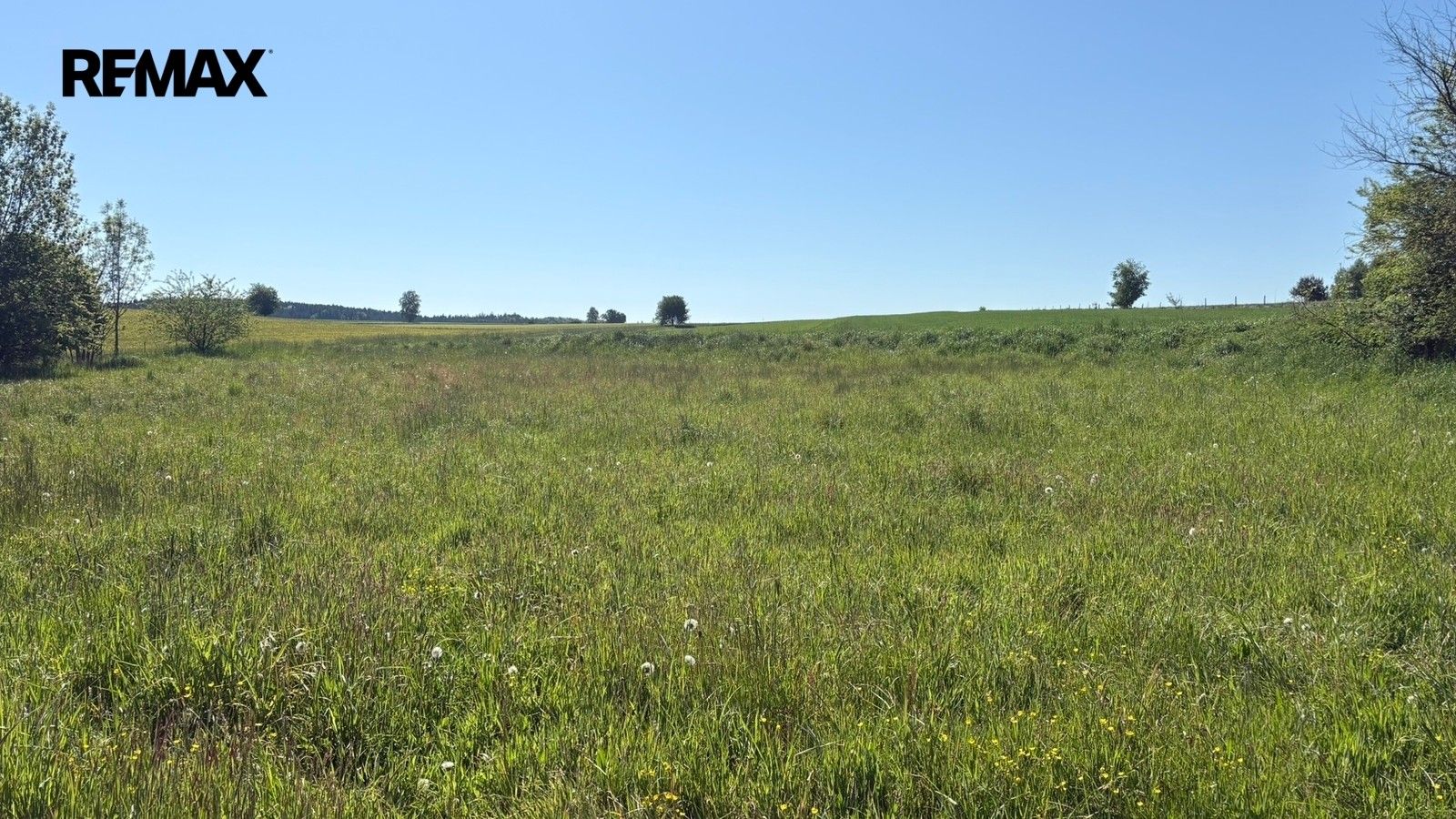 Prodej pozemku 1100 m² - foto 6